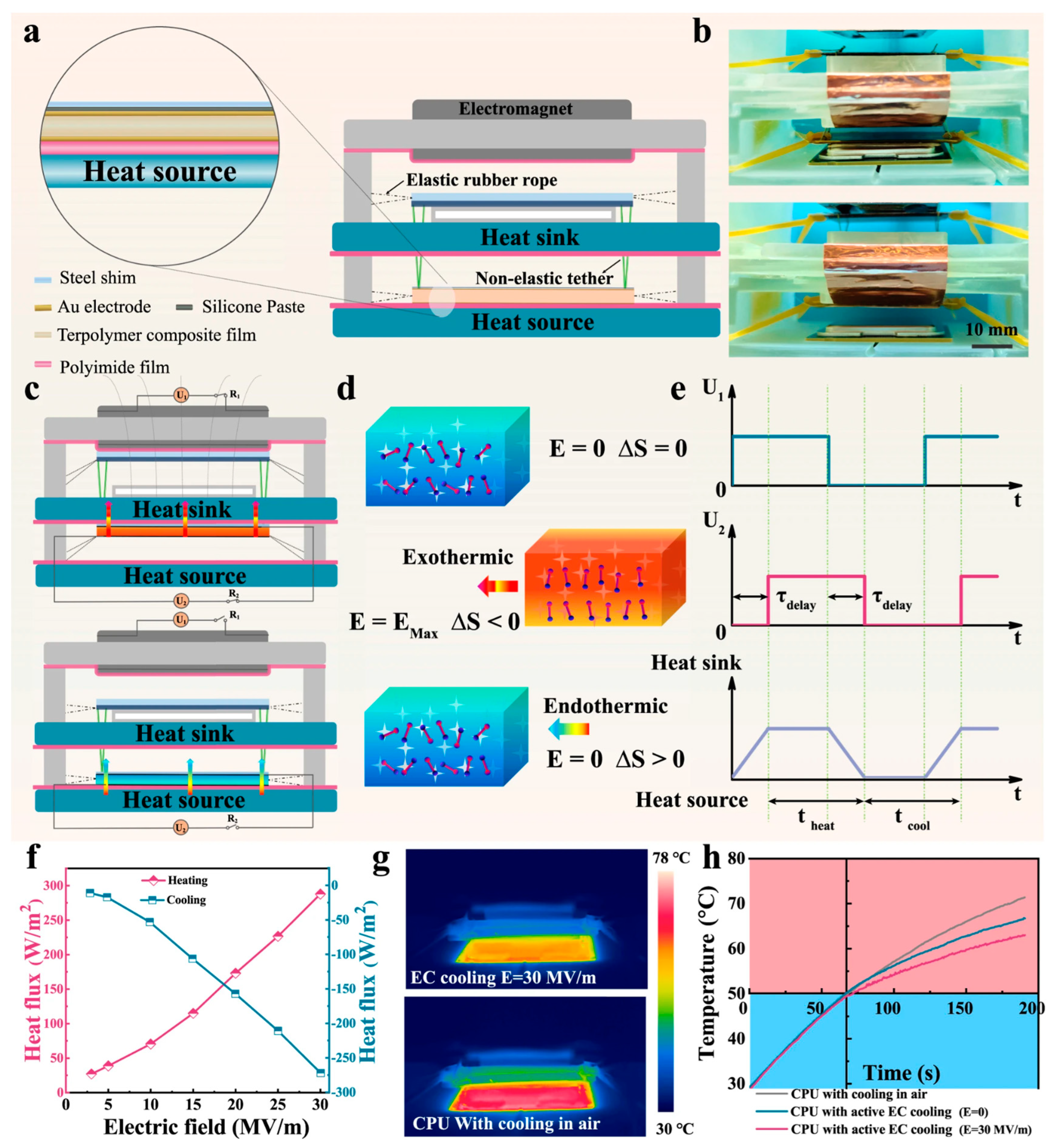 Molecules 29 03572 g007