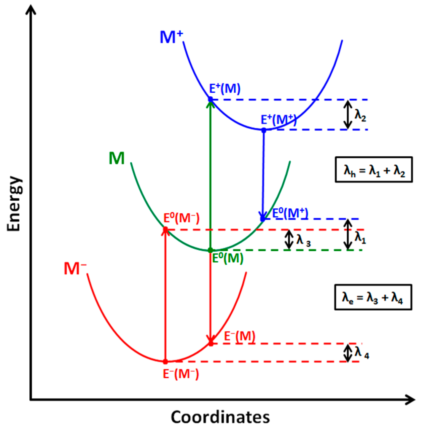Molecules 29 03575 g004
