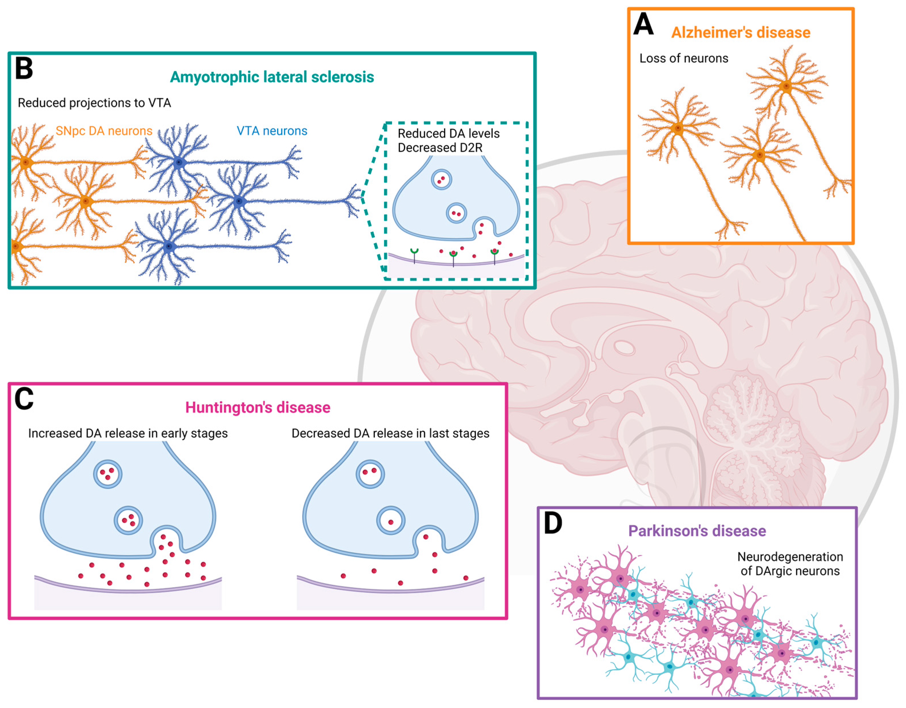 Molecules 29 03580 g001