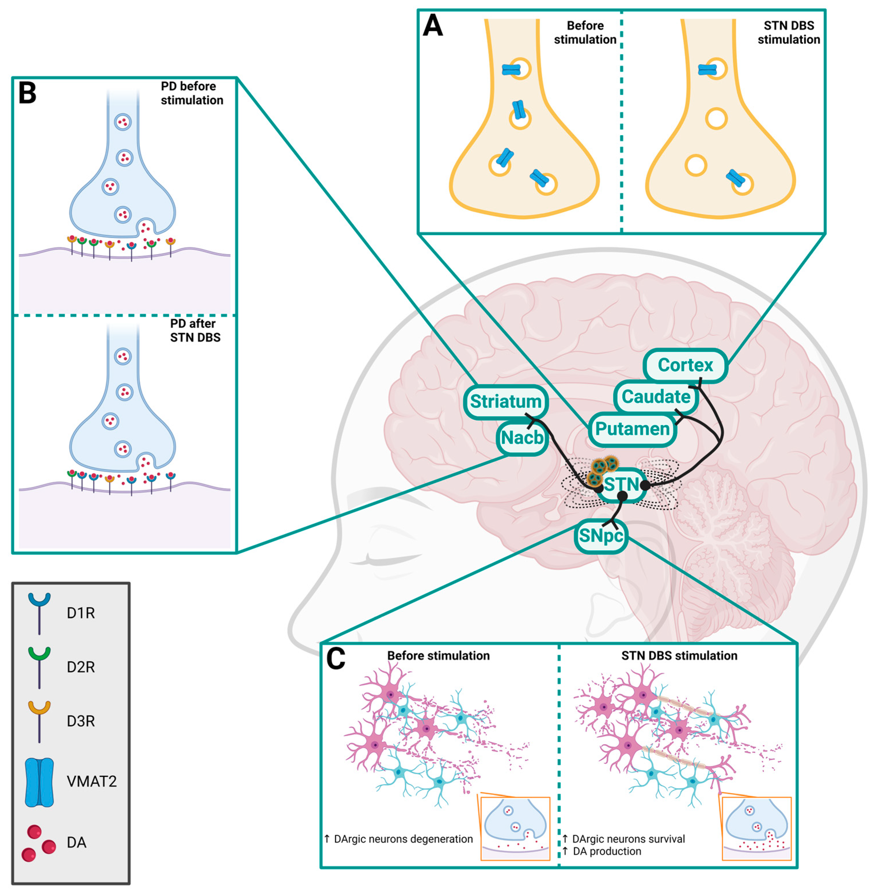 Molecules 29 03580 g002