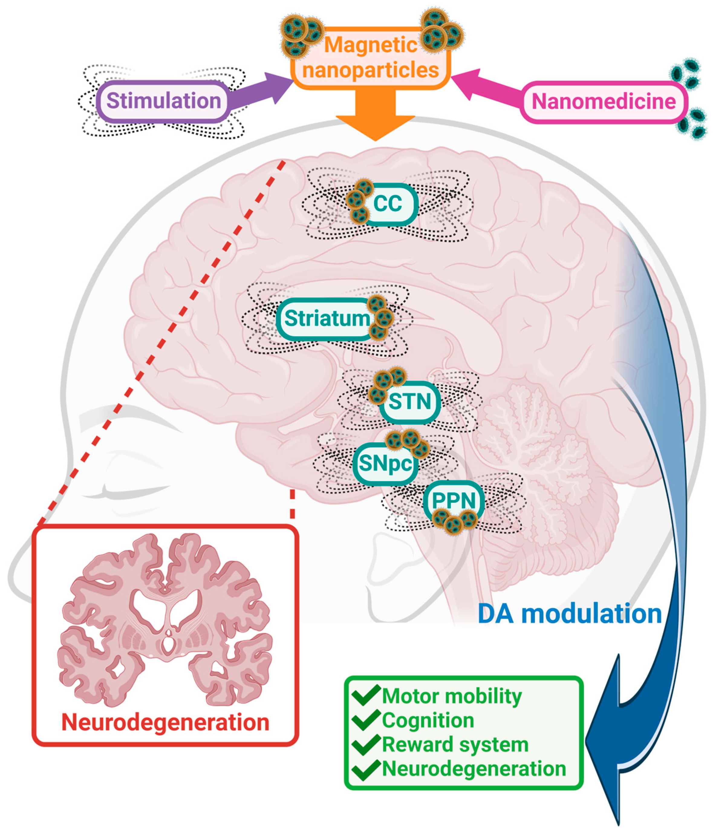 Molecules 29 03580 g003