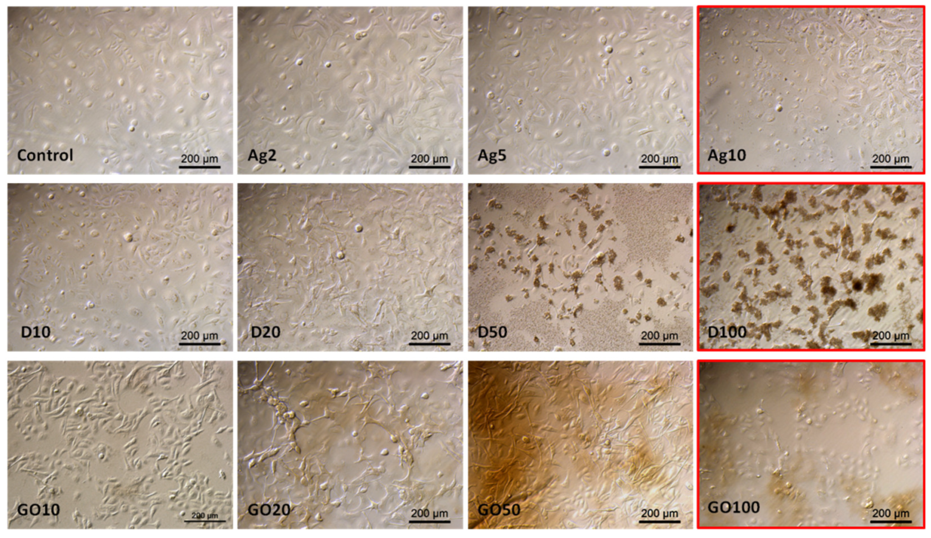 Molecules 29 03581 g006