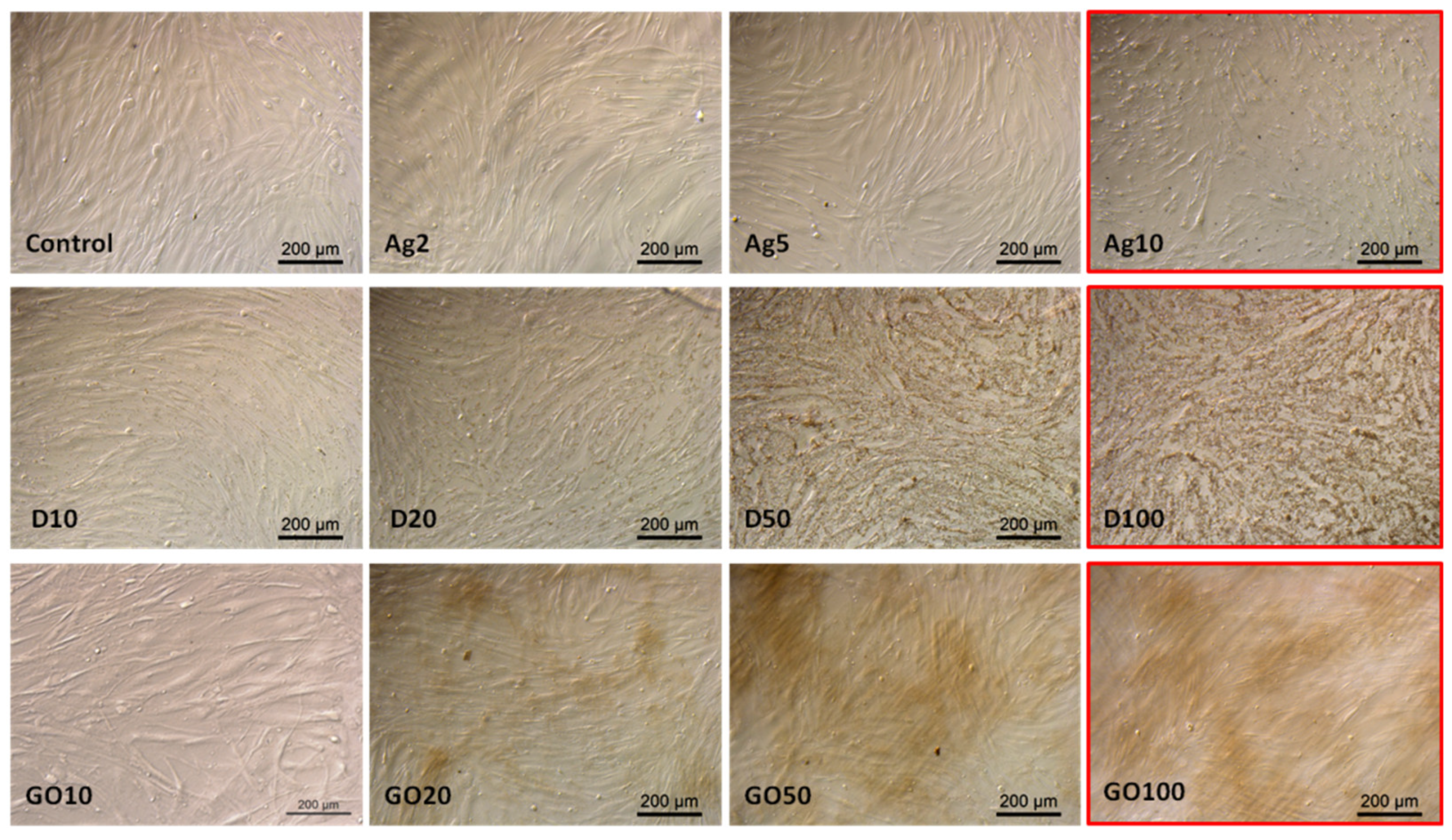 Molecules 29 03581 g007