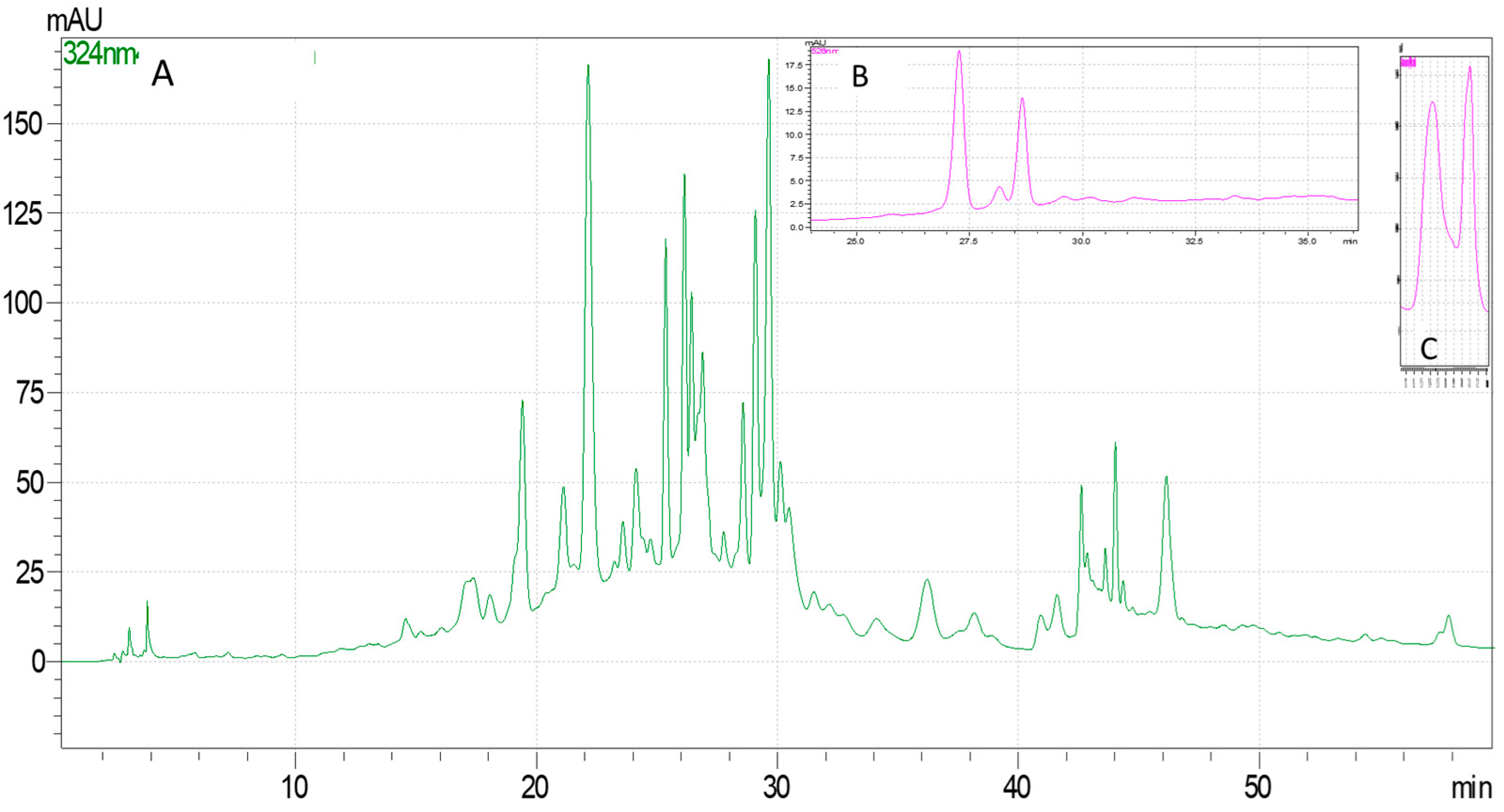 Molecules 29 03595 g001