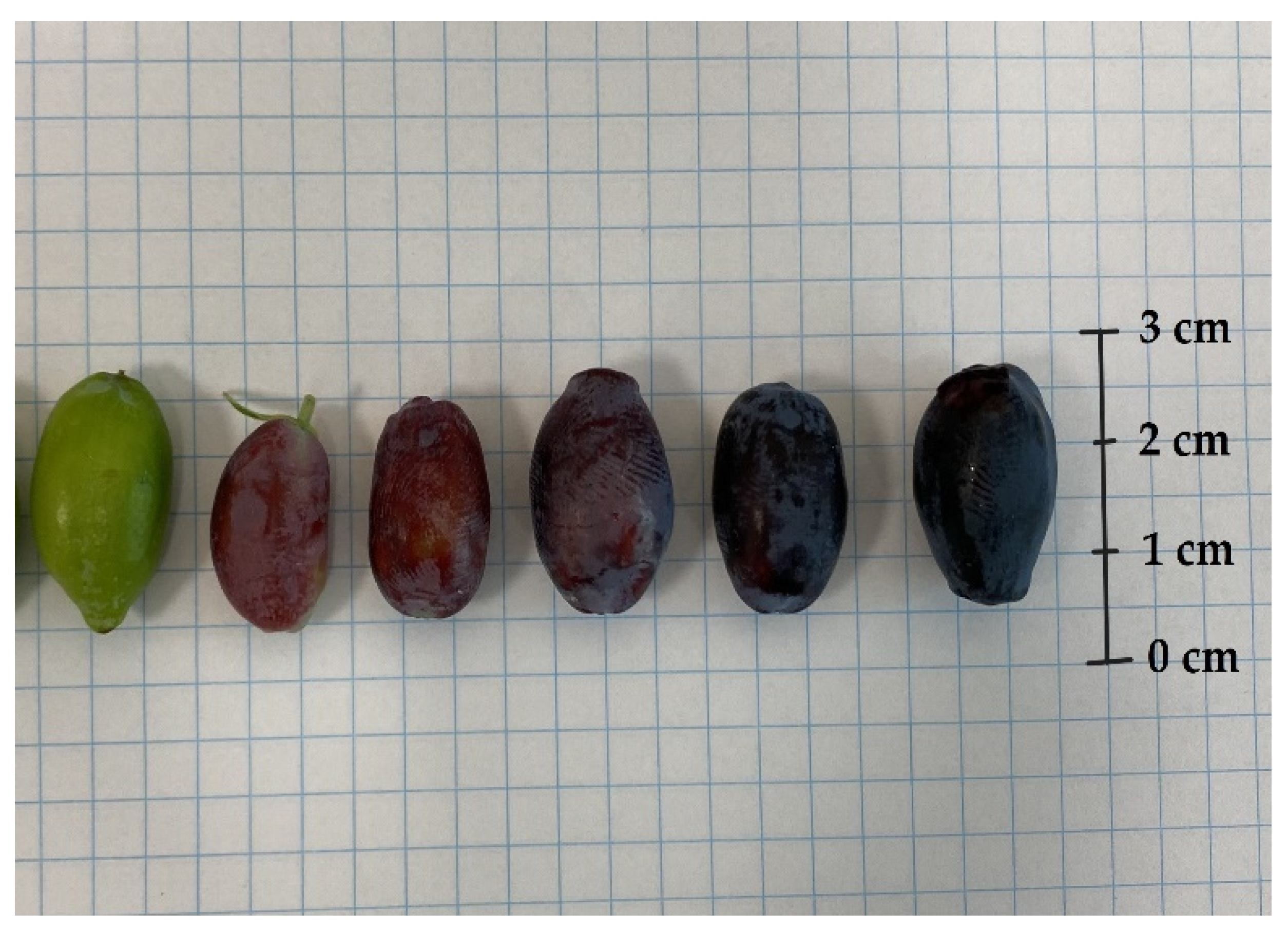 Molecules 29 03616 g005