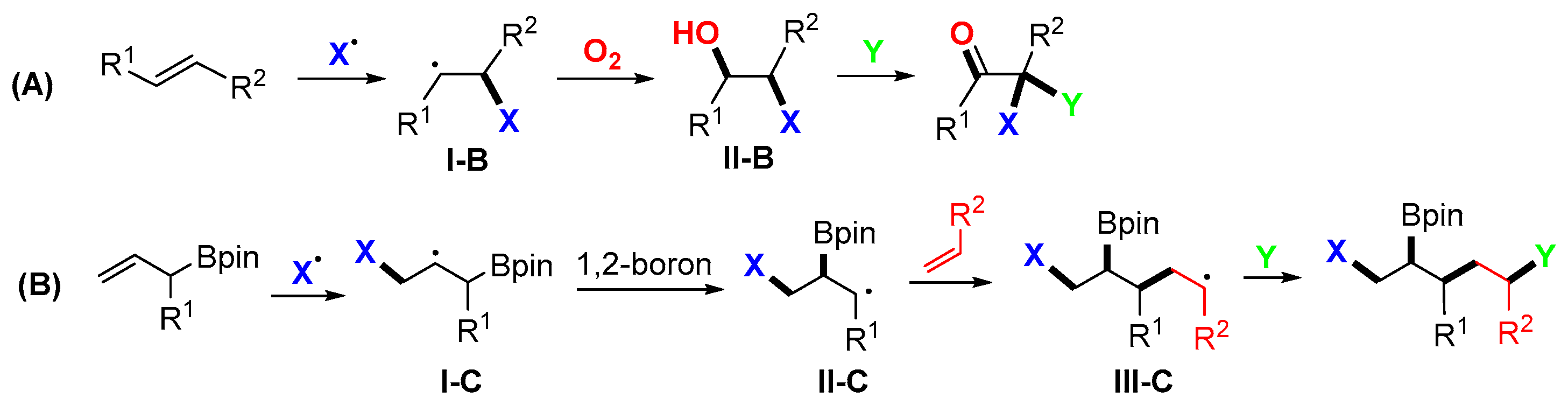 Molecules 29 03620 sch029