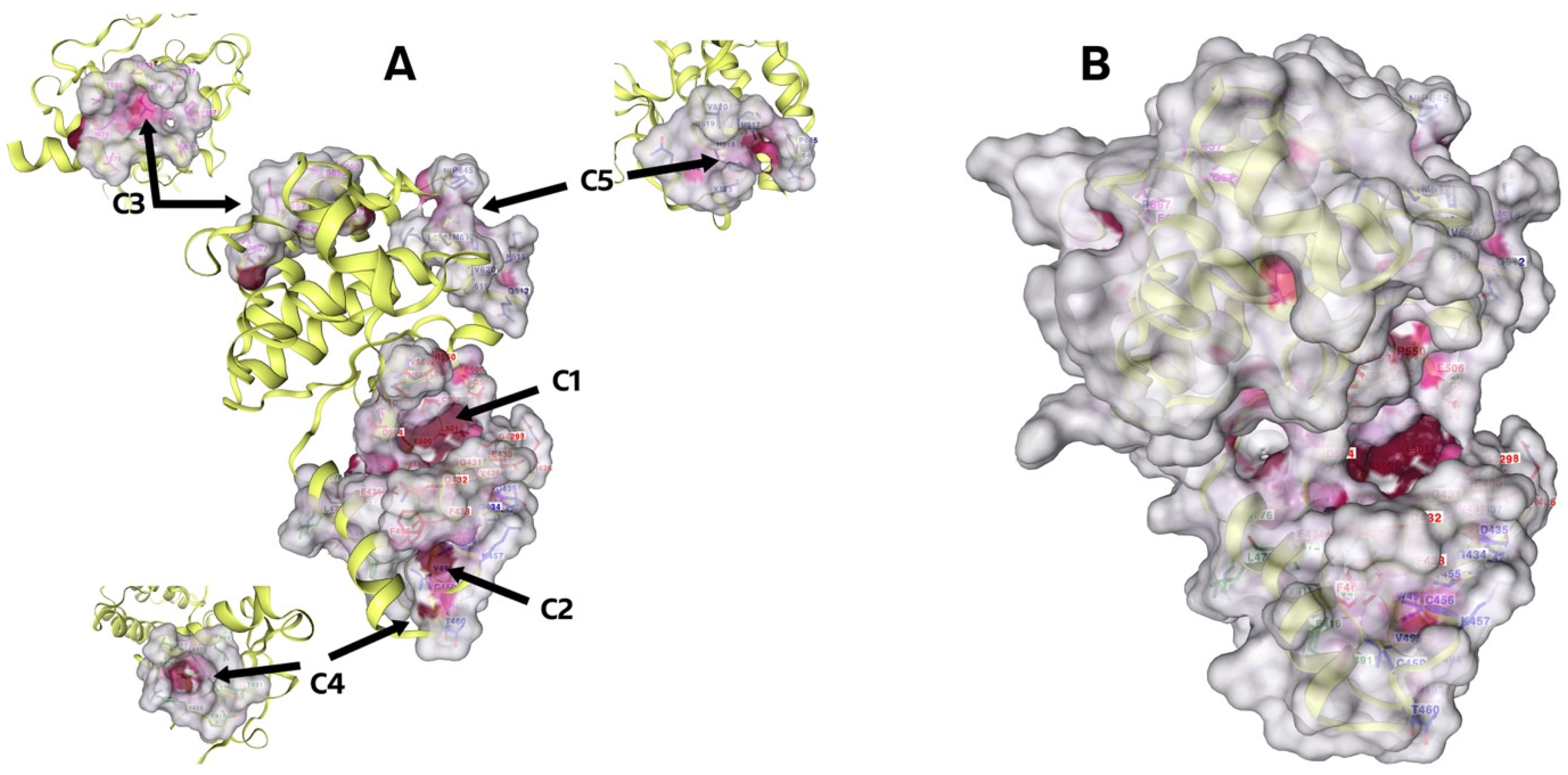 Molecules 29 03623 g003