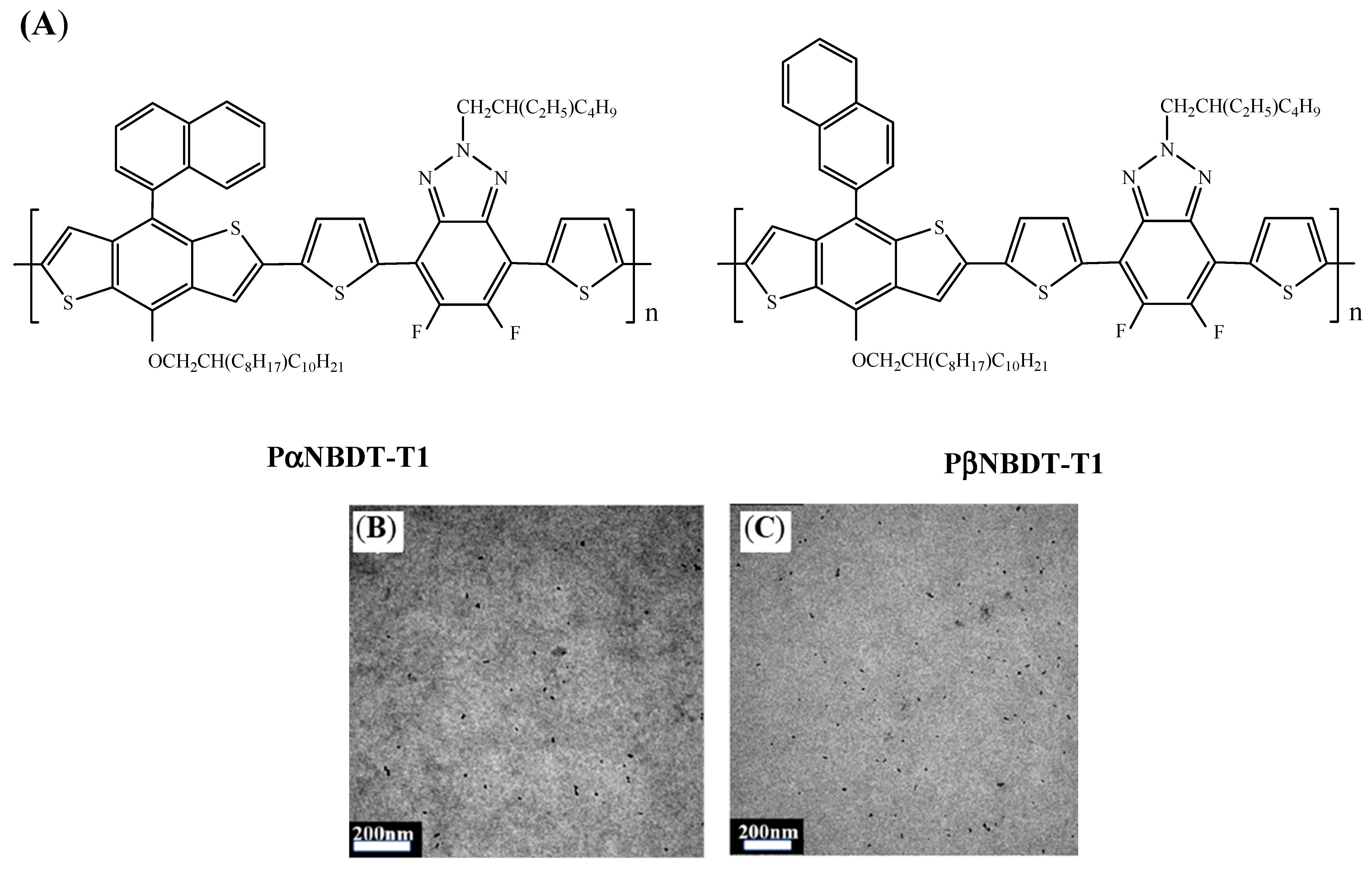 Molecules 29 03625 g025