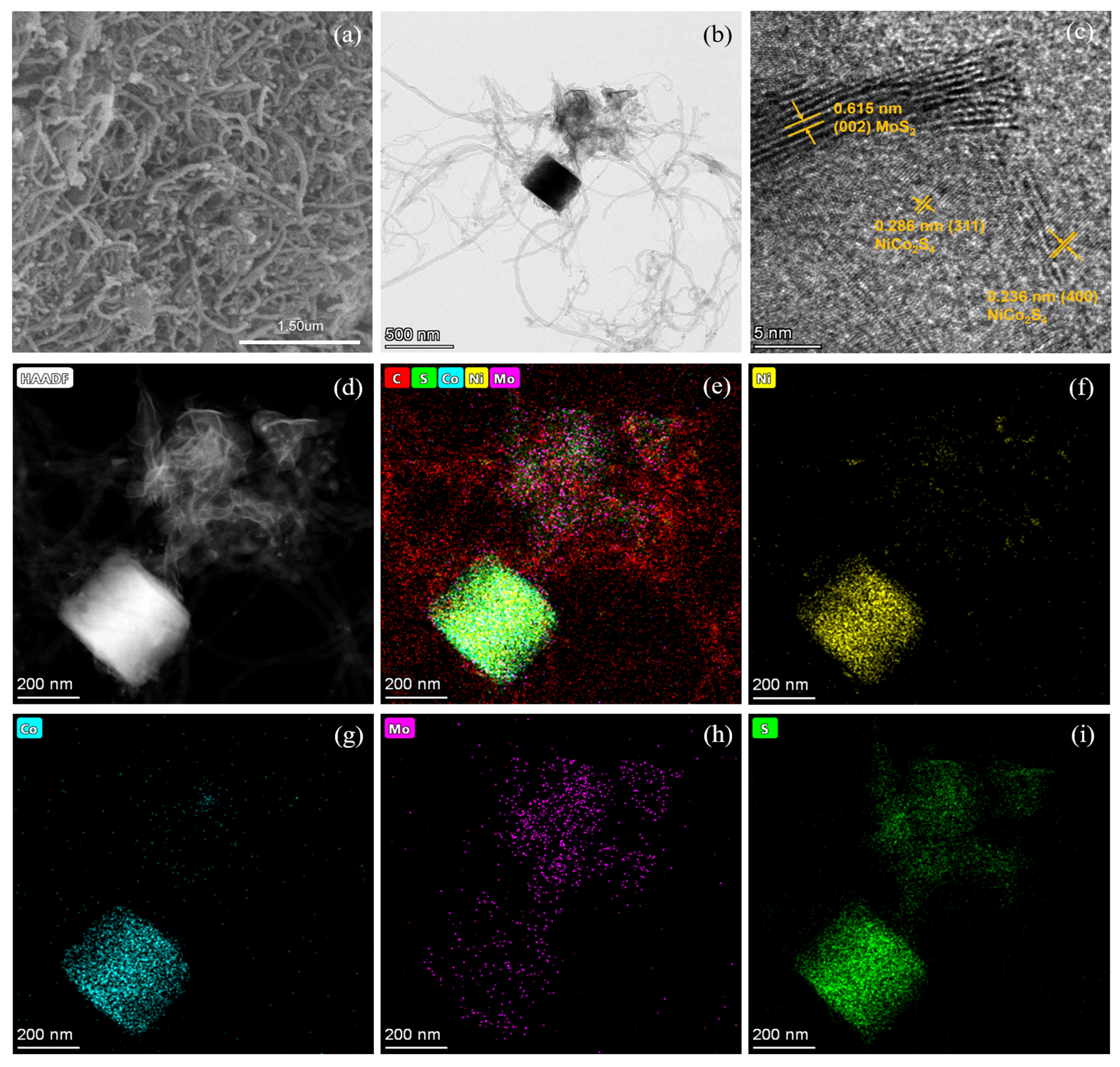 Molecules 29 03633 g002