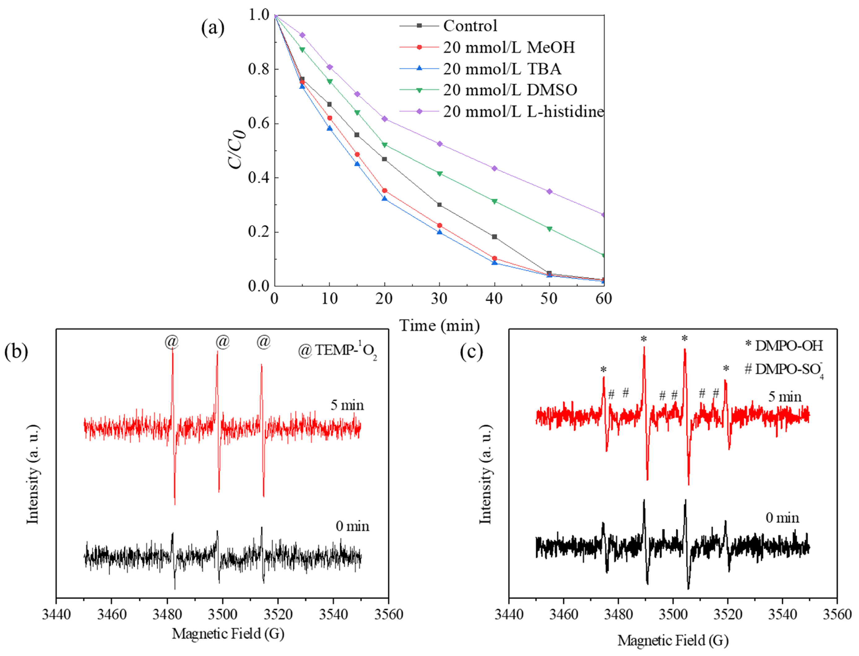 Molecules 29 03633 g007