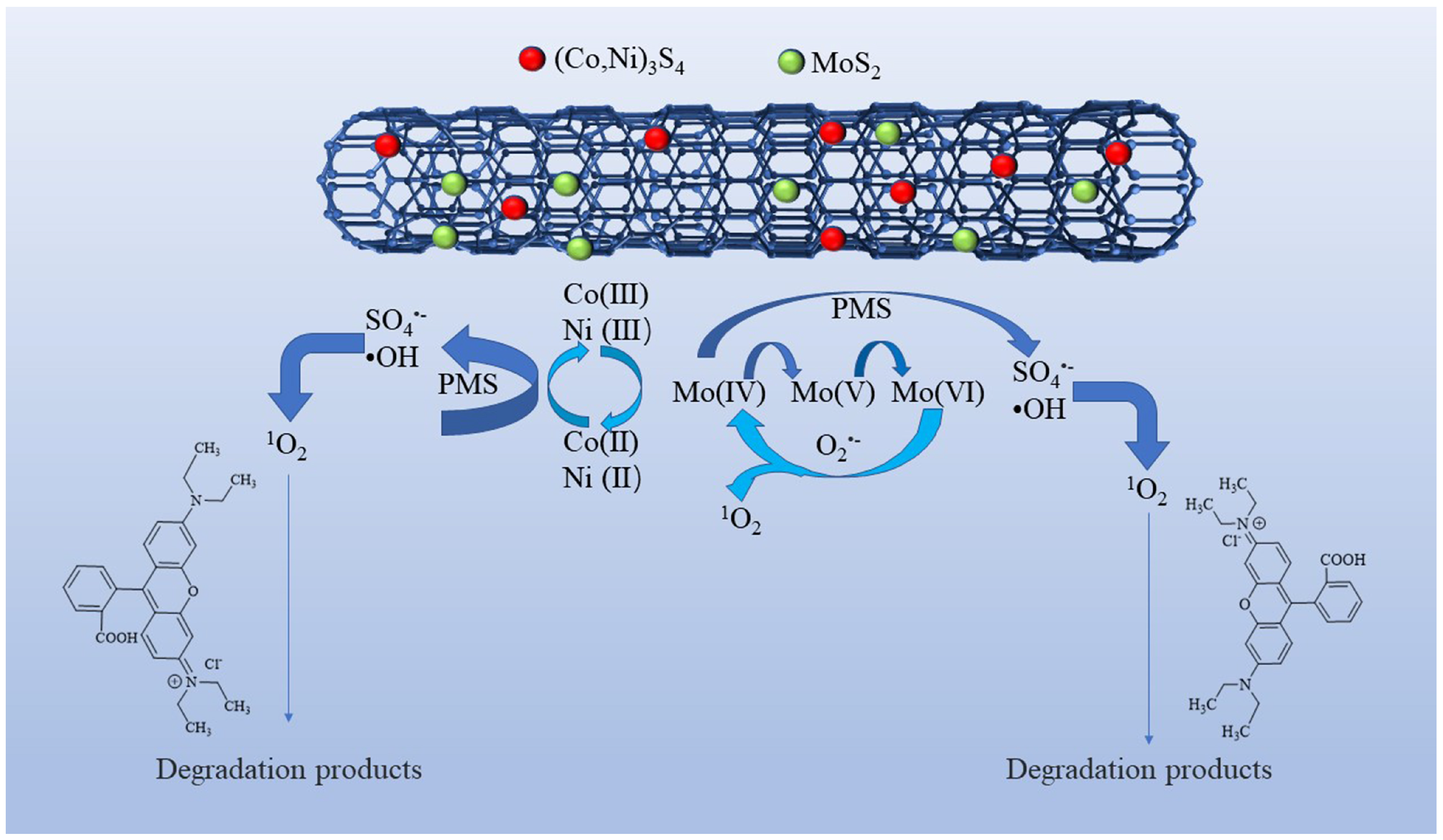 Molecules 29 03633 g009