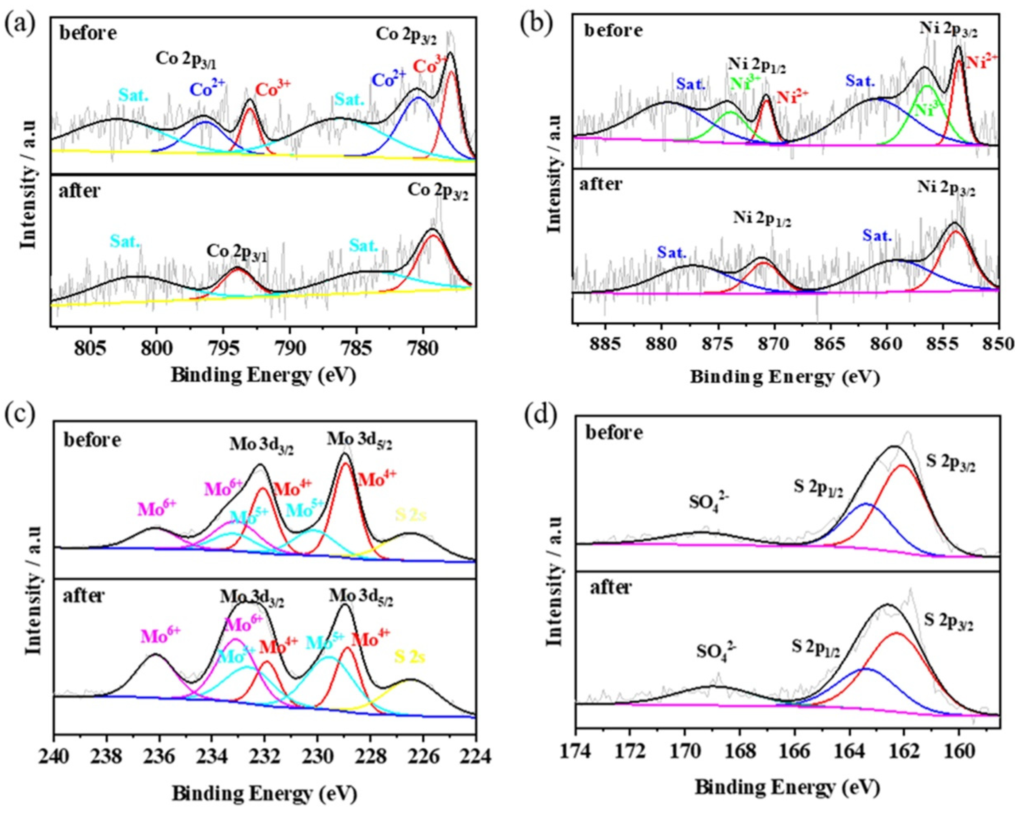 Molecules 29 03633 g011