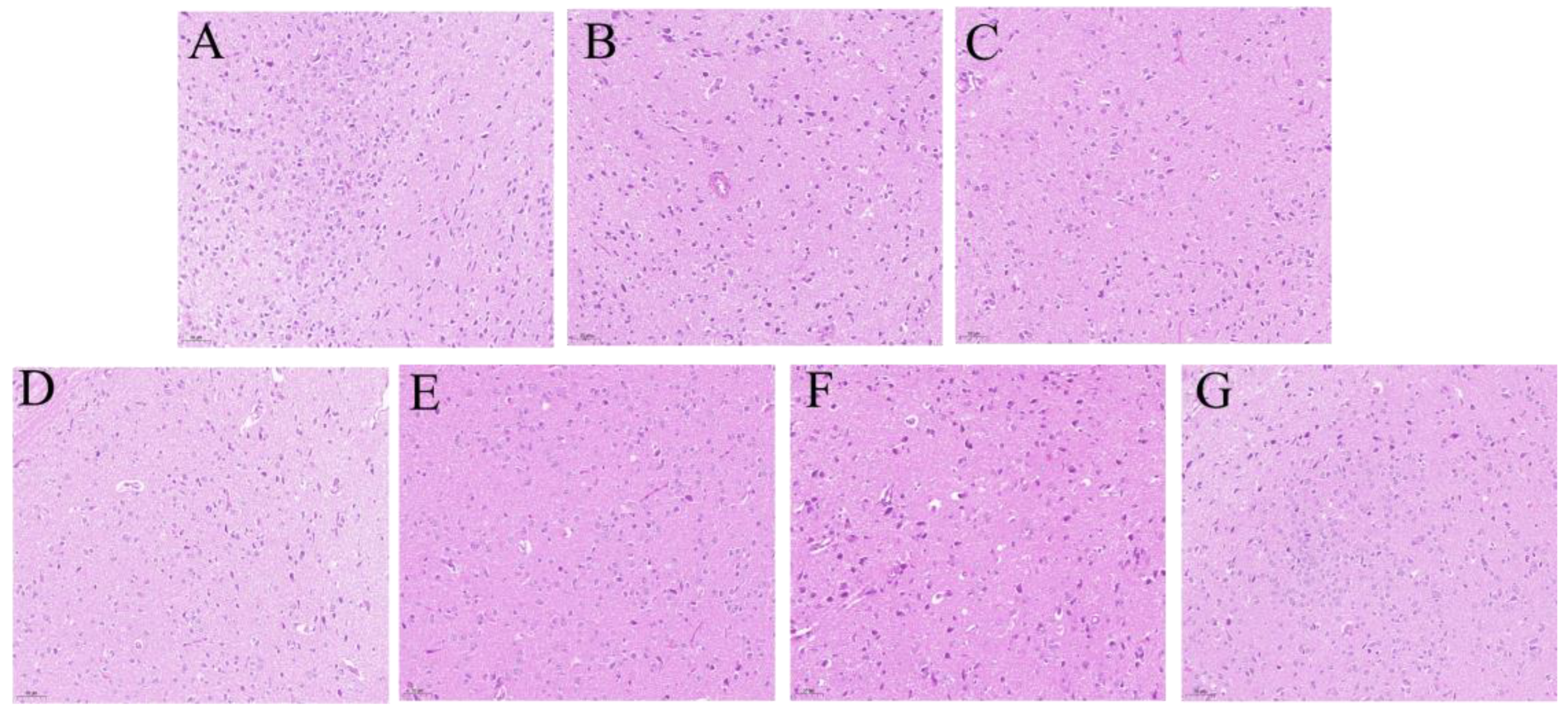 Molecules 29 03638 g004