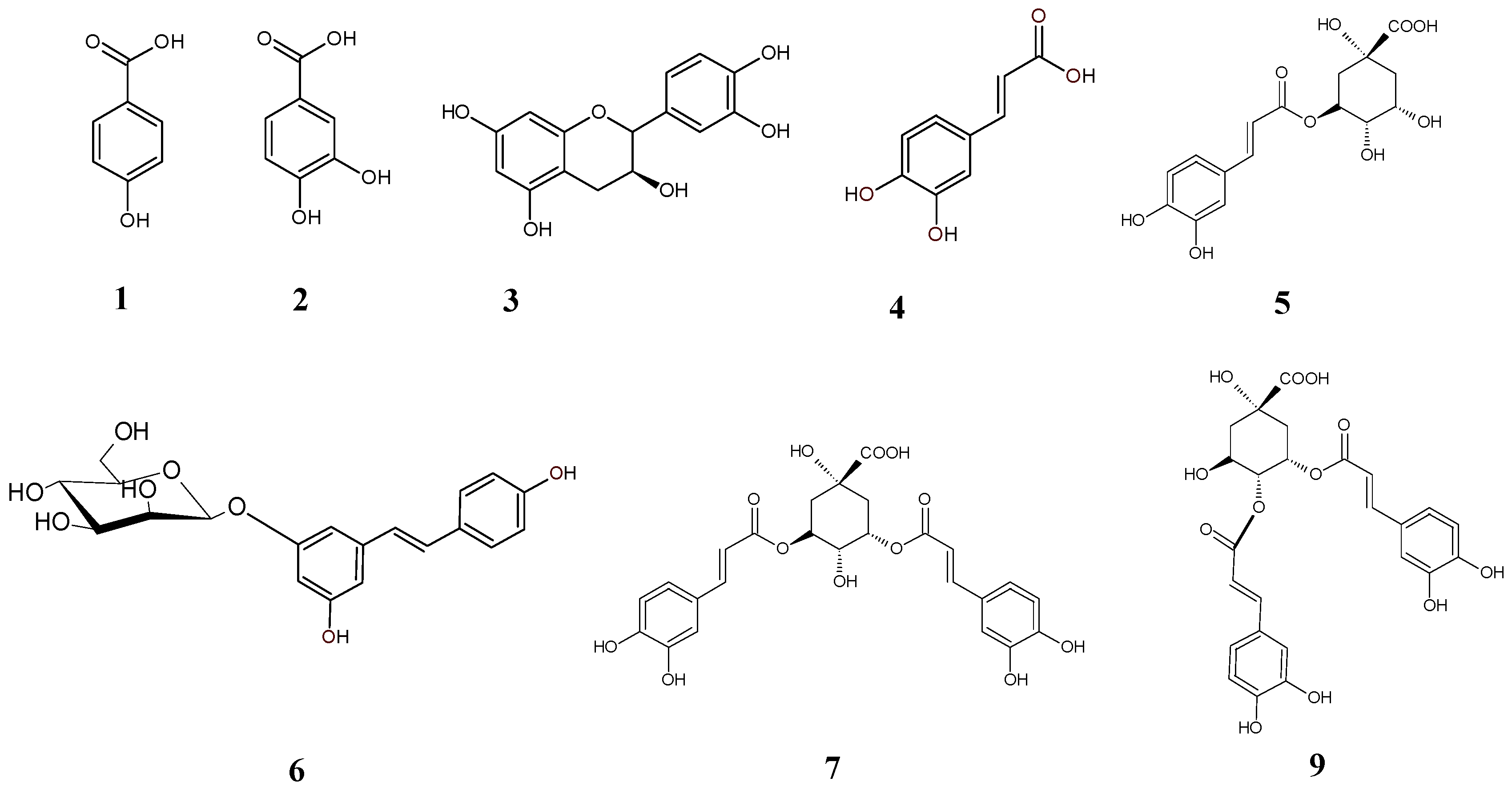 Molecules 29 03640 g002 Molecules 29 03640 g002