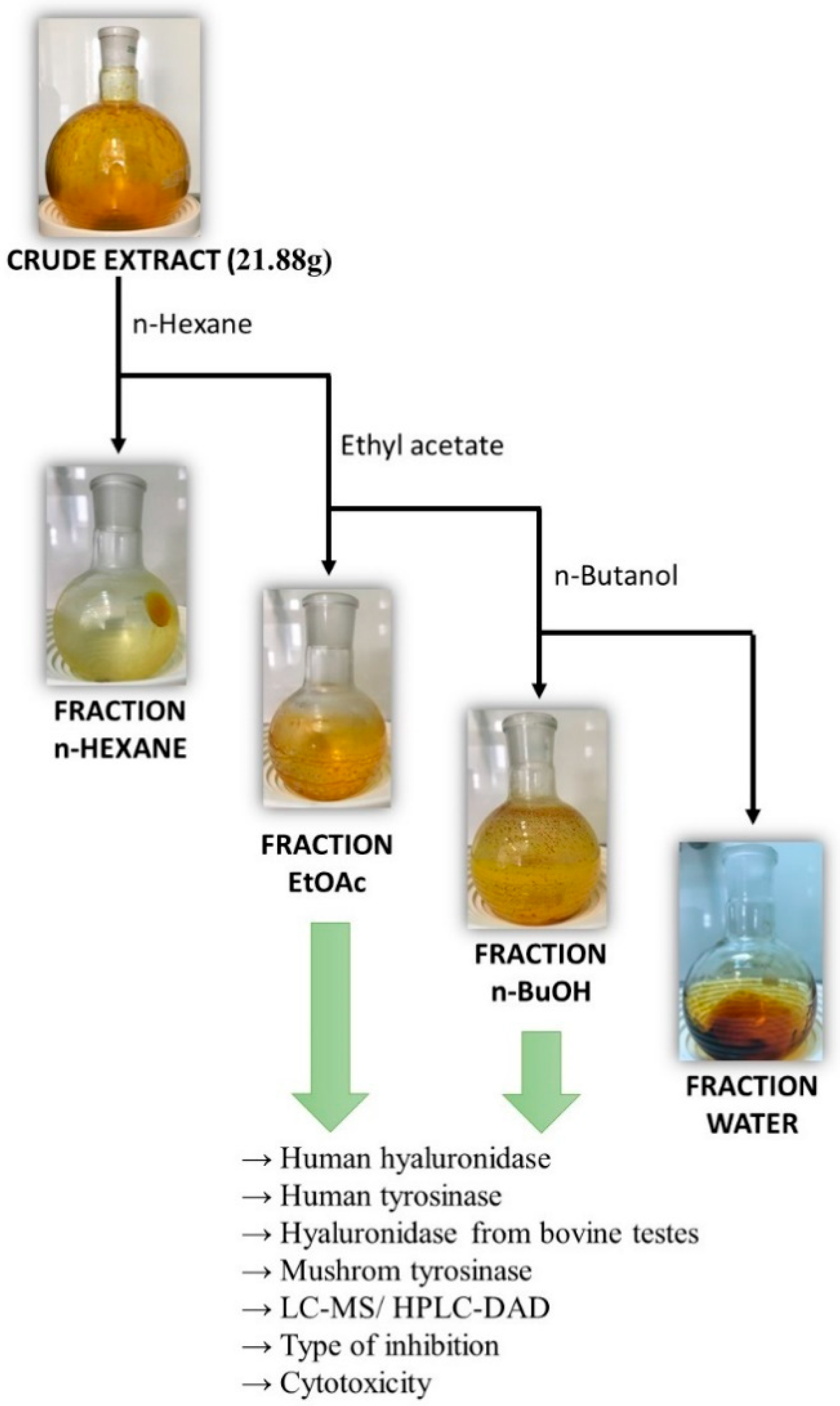 Molecules 29 03640 g006 Molecules 29 03640 g006