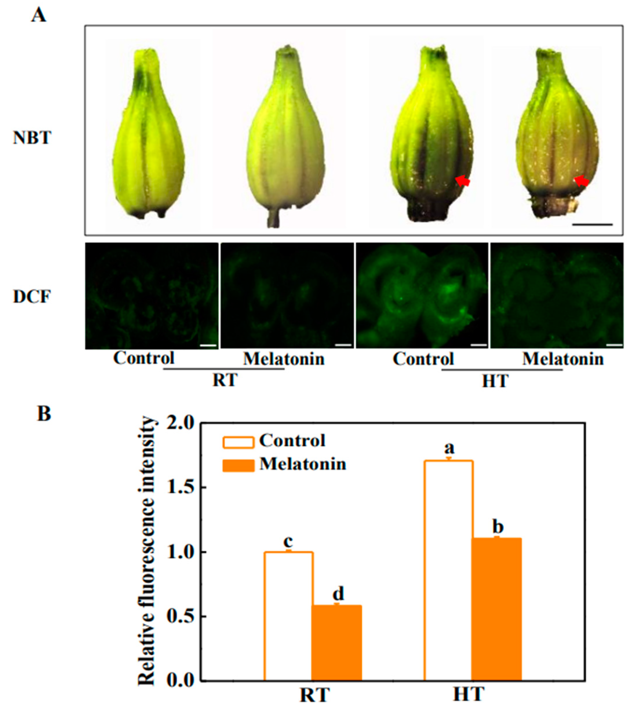 Molecules 29 03641 g001