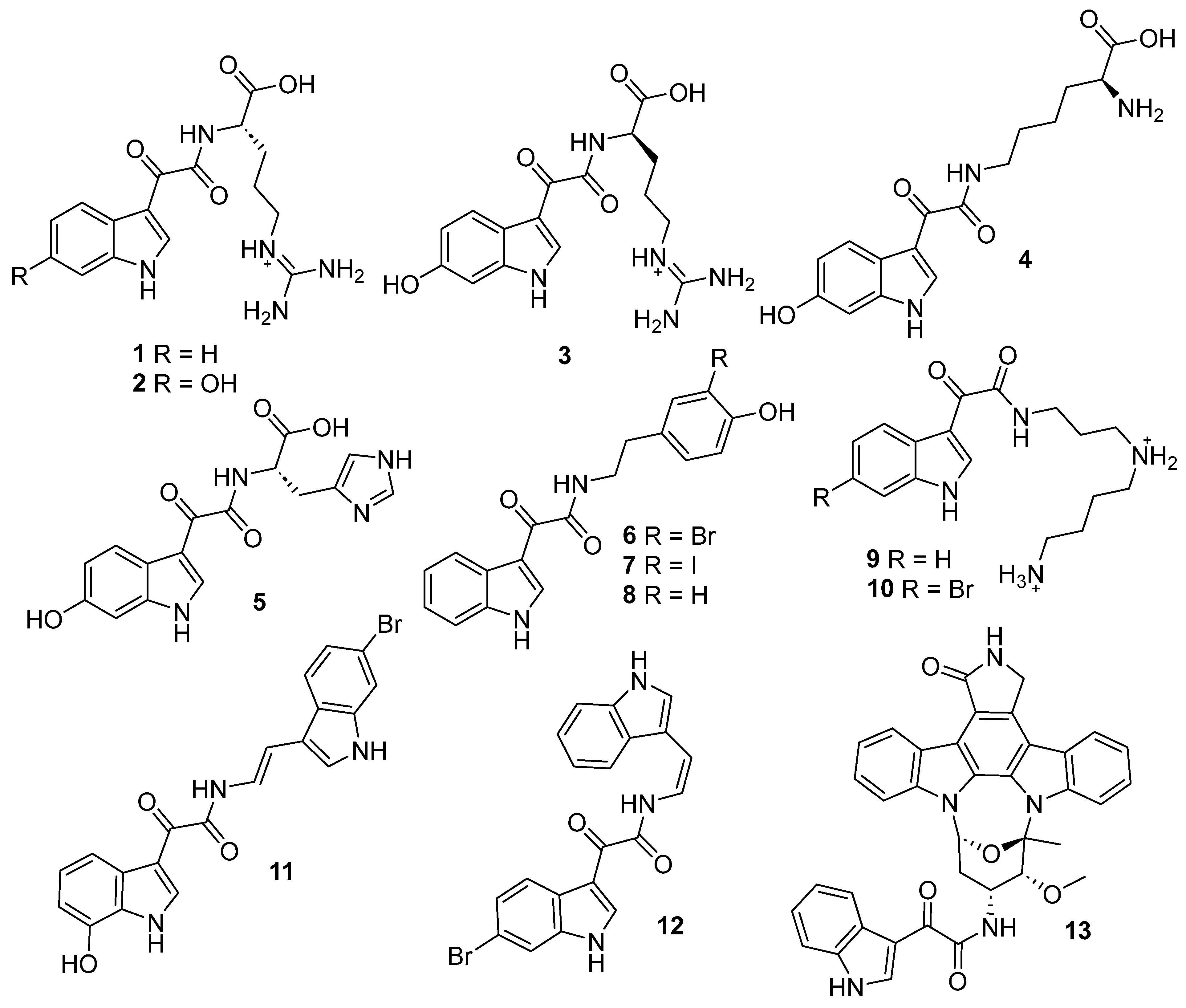 Molecules 29 03648 g001