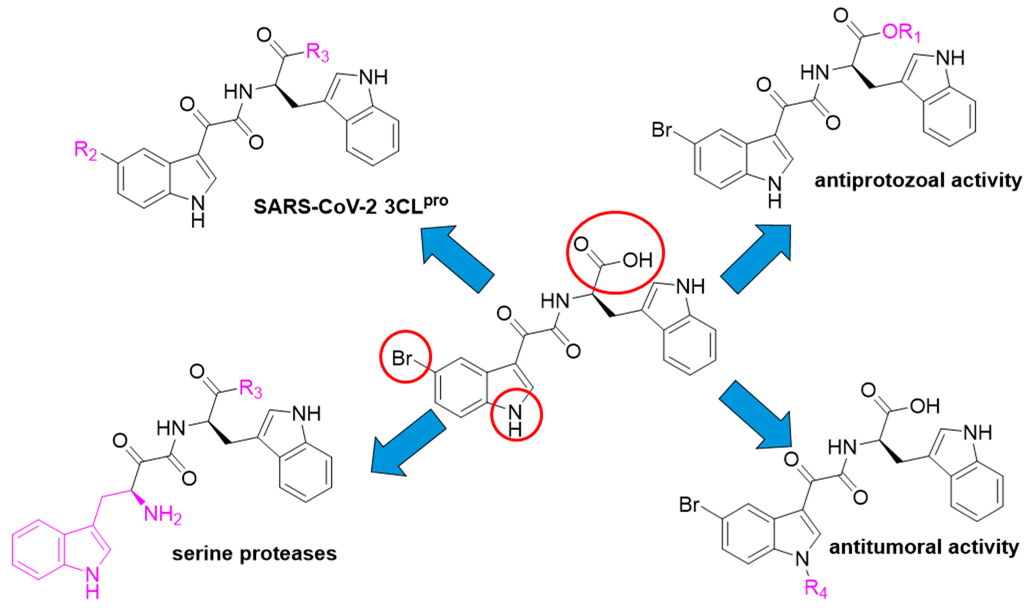 Molecules 29 03648 g009
