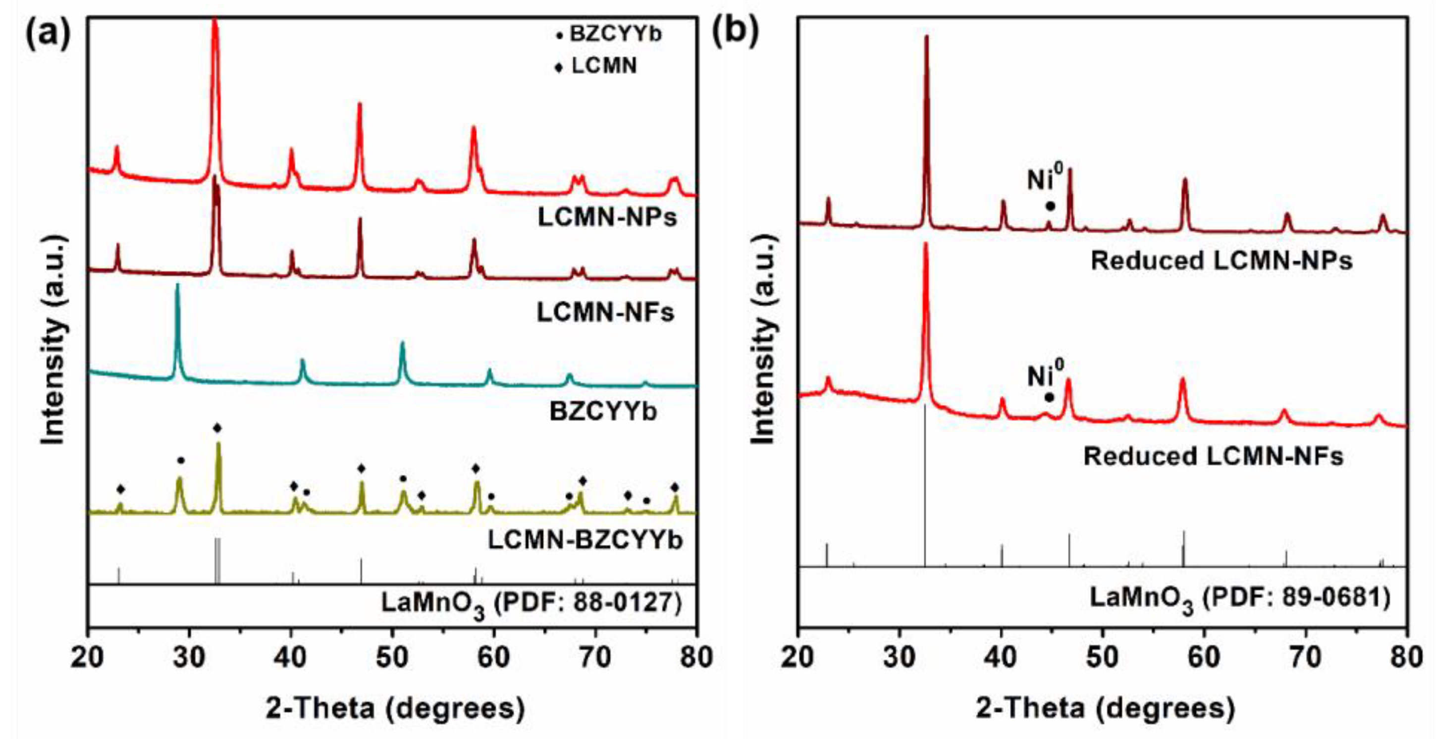 Molecules 29 03654 g001