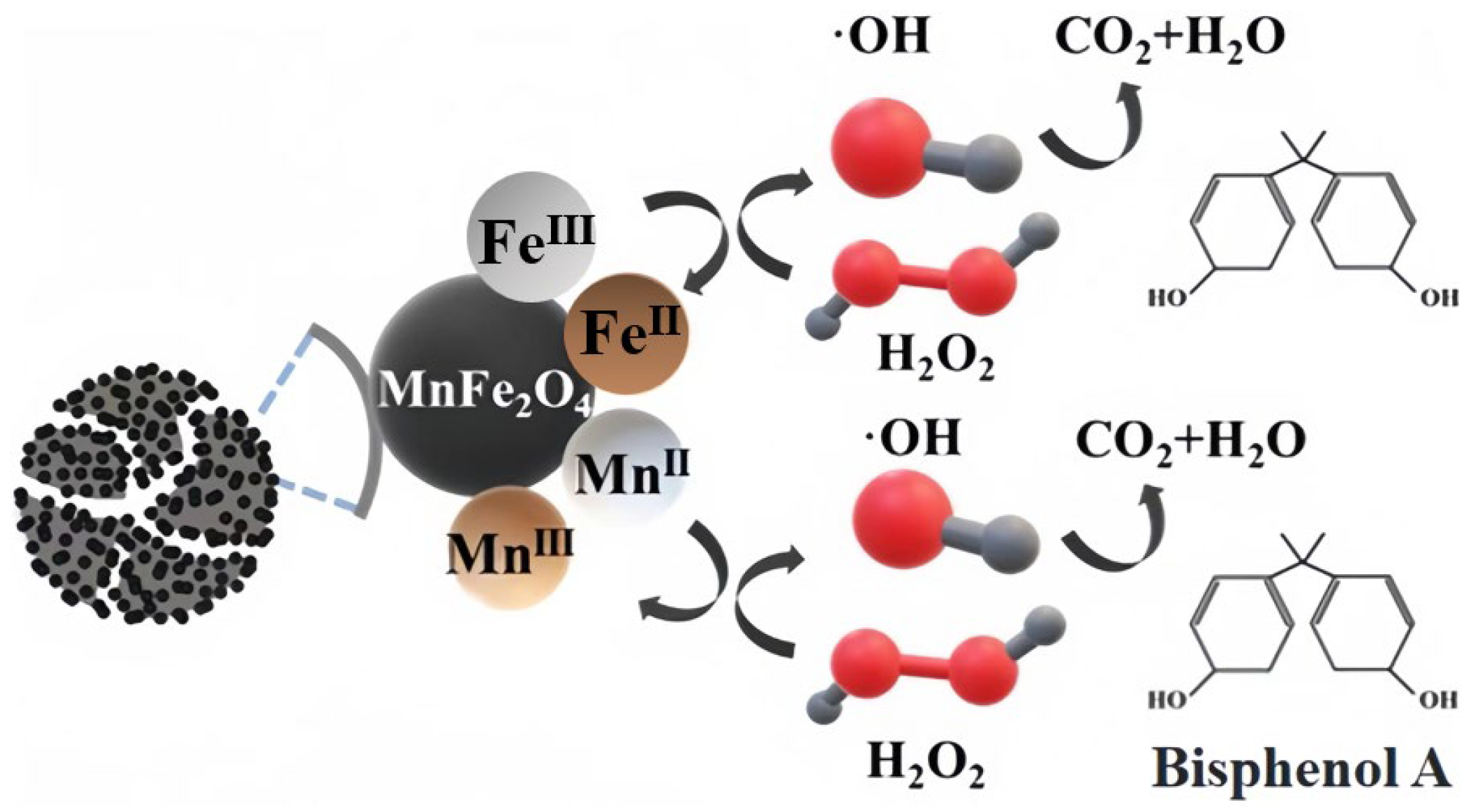 Molecules 29 03657 g011