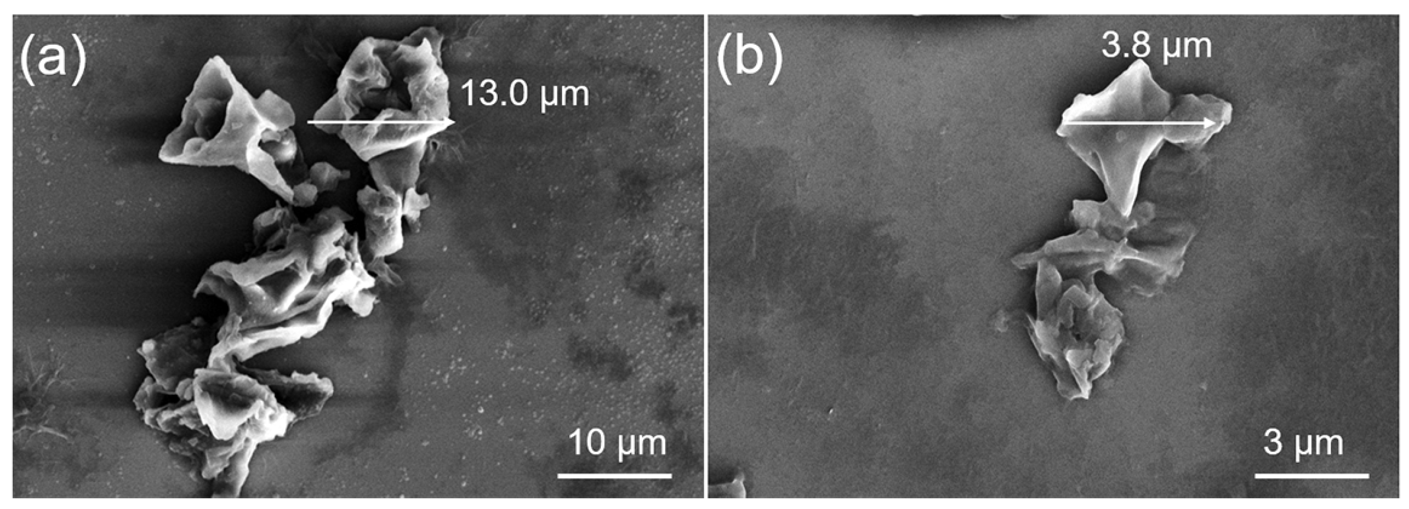 Molecules 29 03658 g003