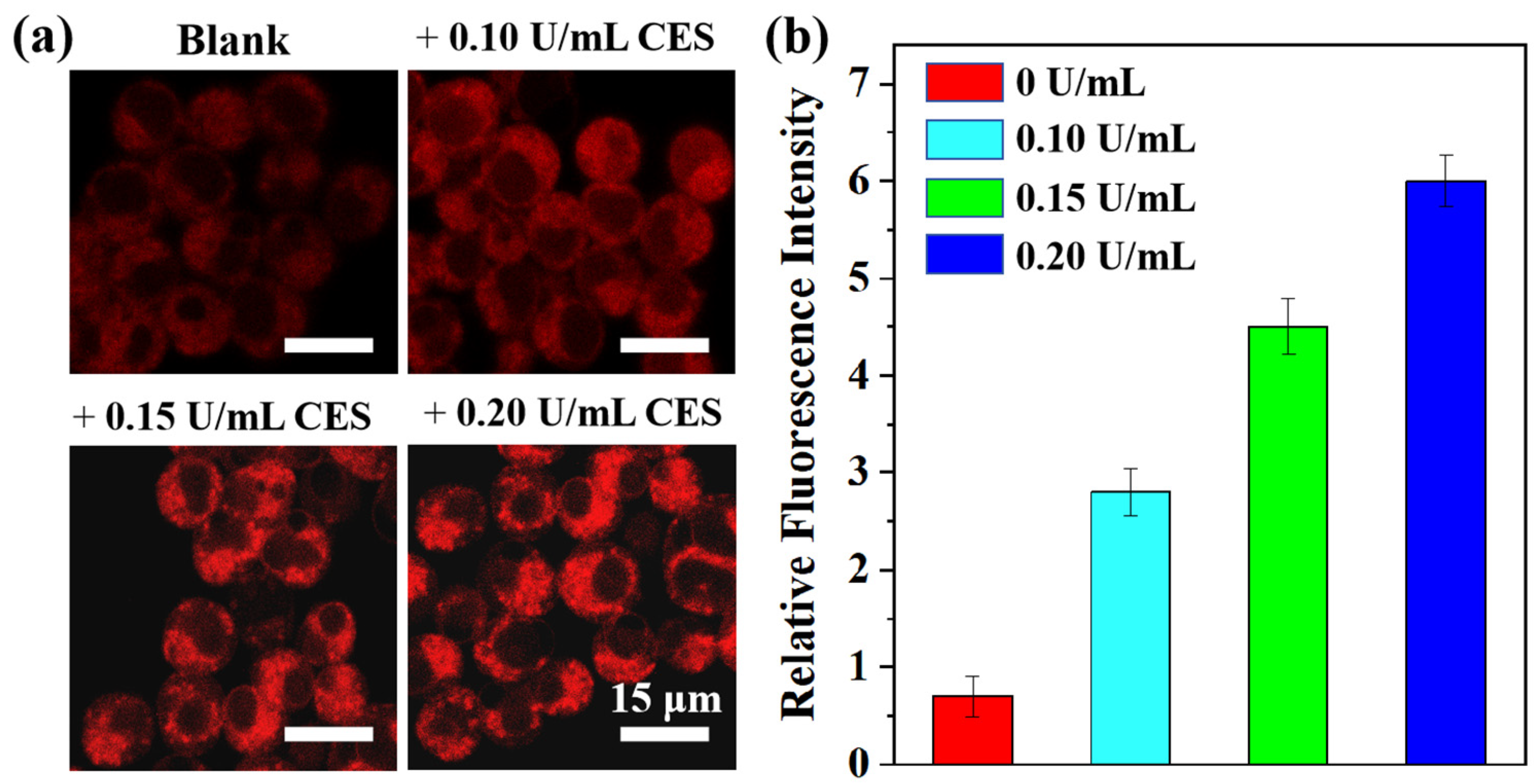 Molecules 29 03660 g005