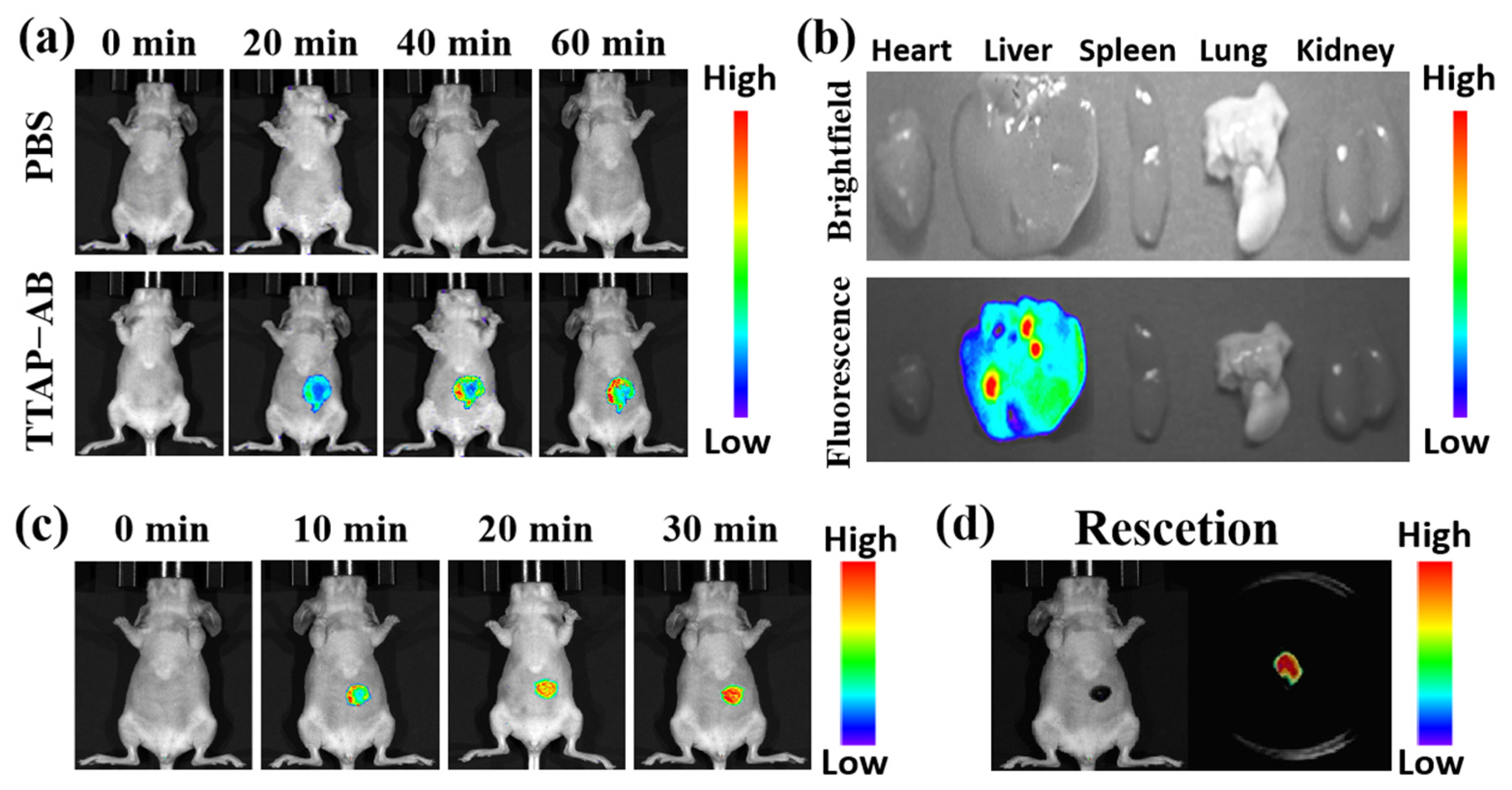 Molecules 29 03660 g008
