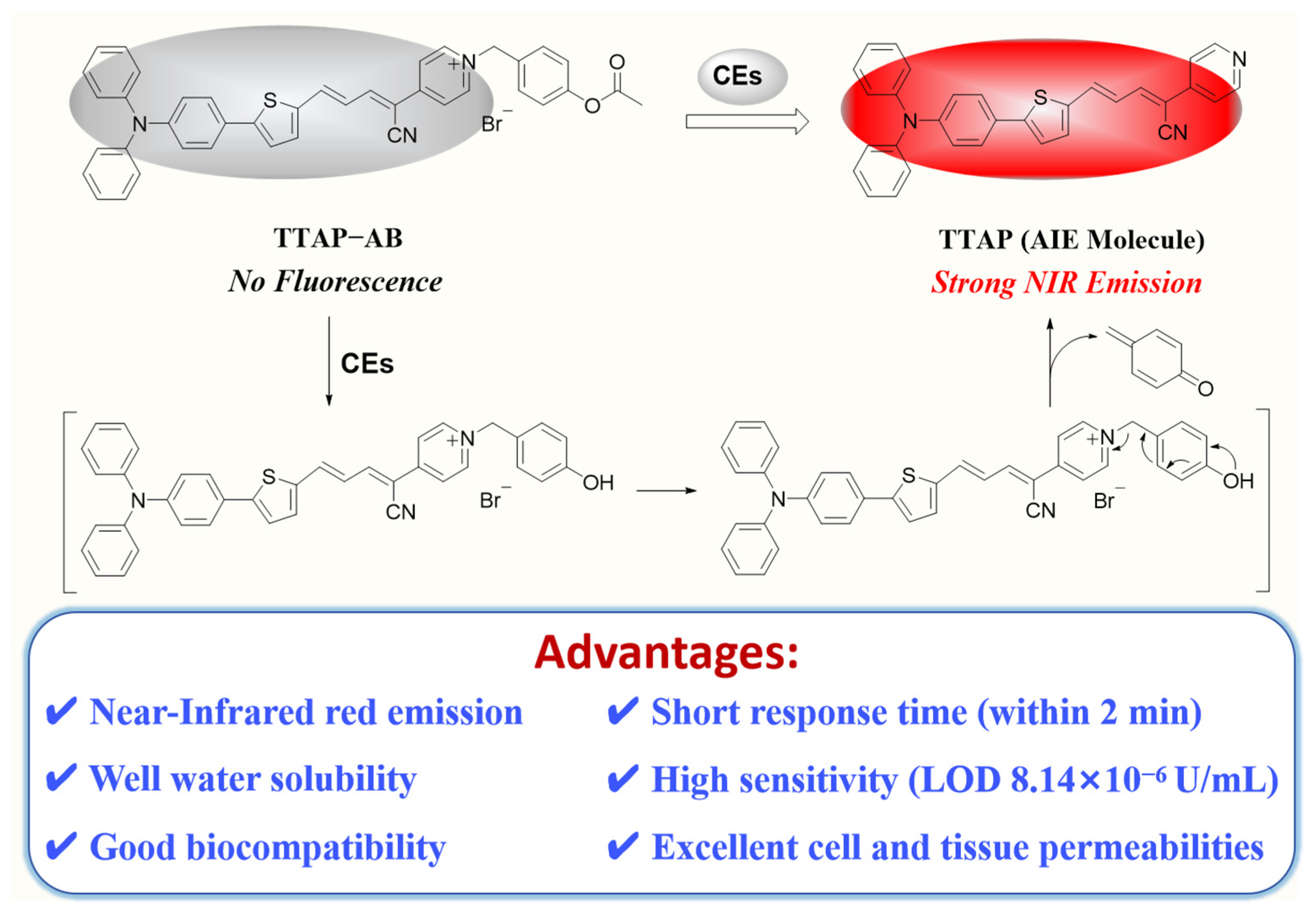 Molecules 29 03660 sch001