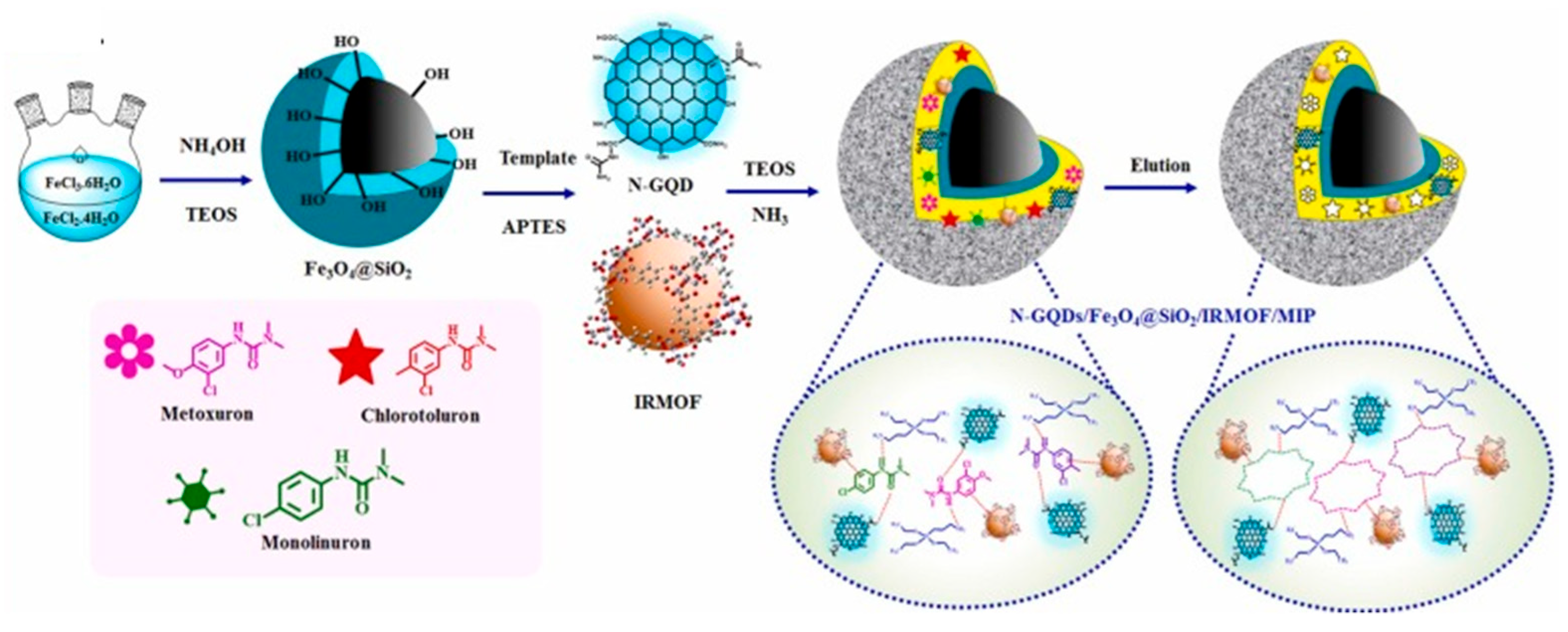 Molecules 29 03661 g003