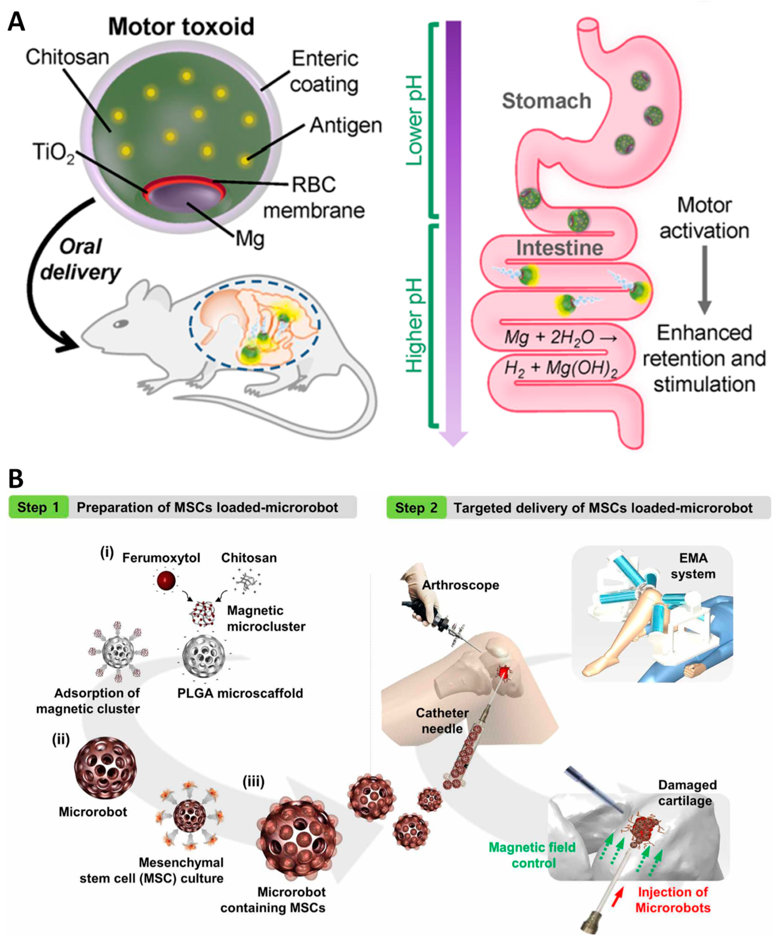 Molecules 29 03663 g003