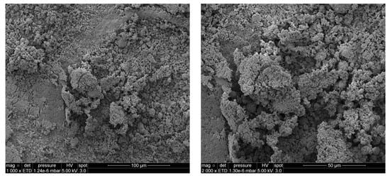 Molecules 29 03664 g0a4a