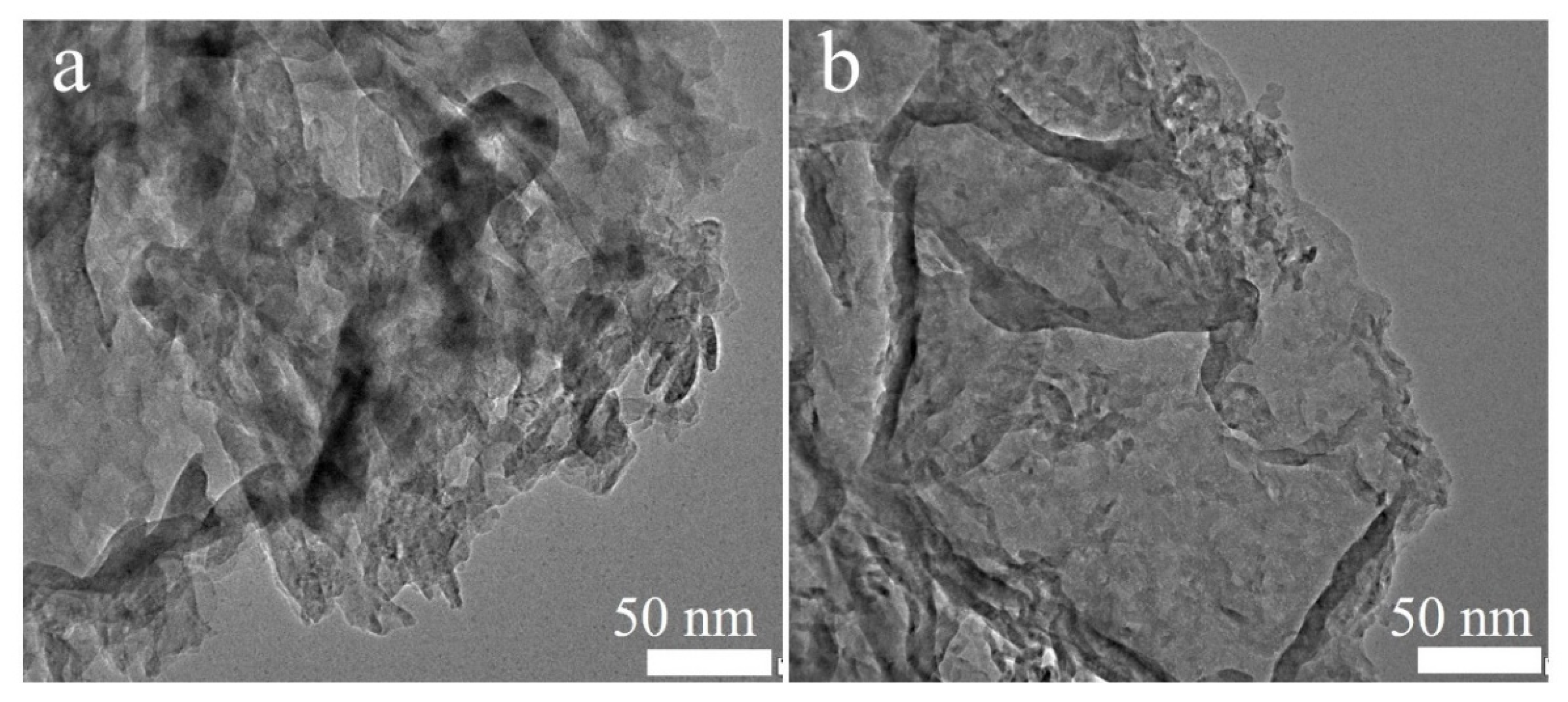 Molecules 29 03666 g002