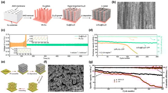 Molecules 29 03669 g001