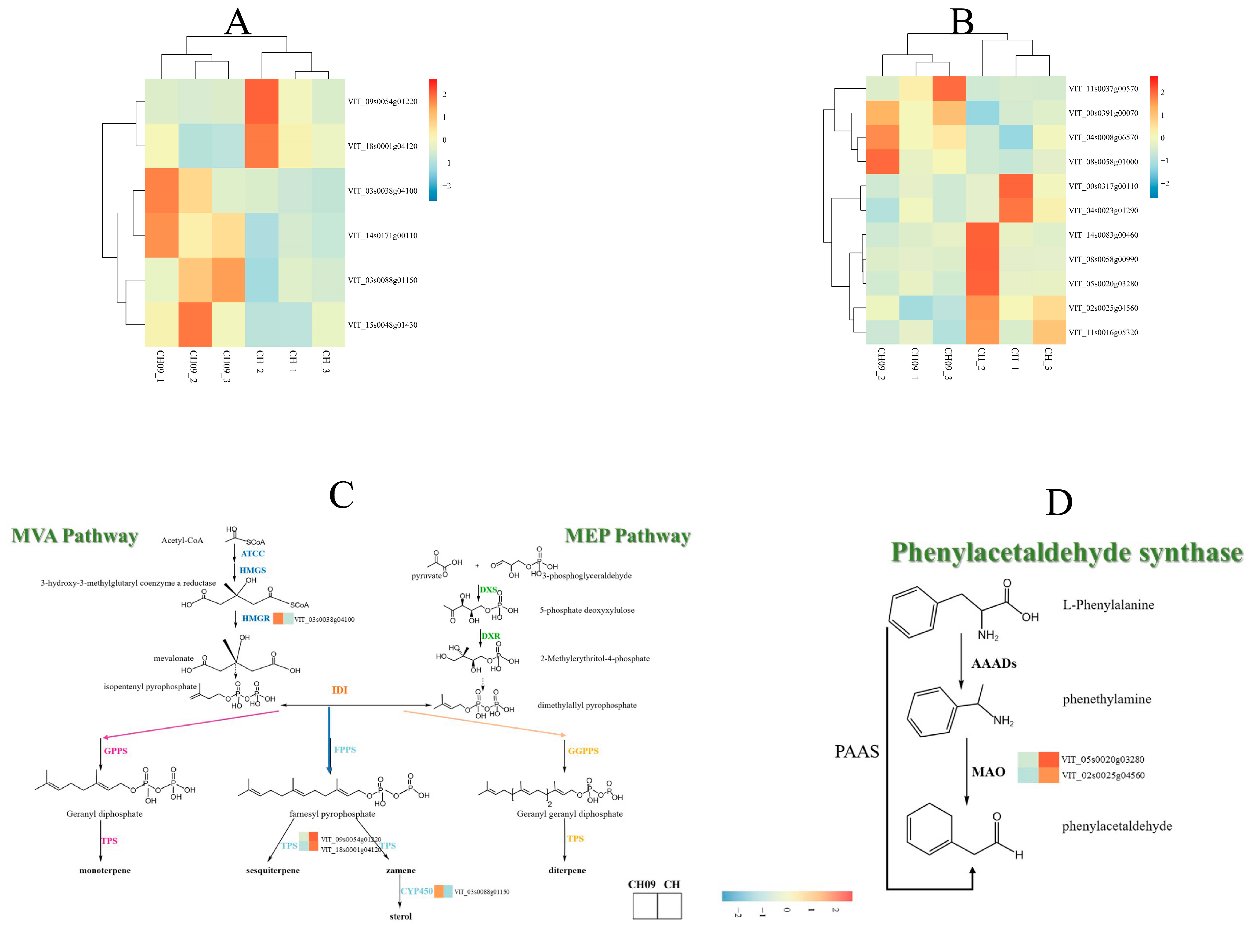 Molecules 29 03671 g005