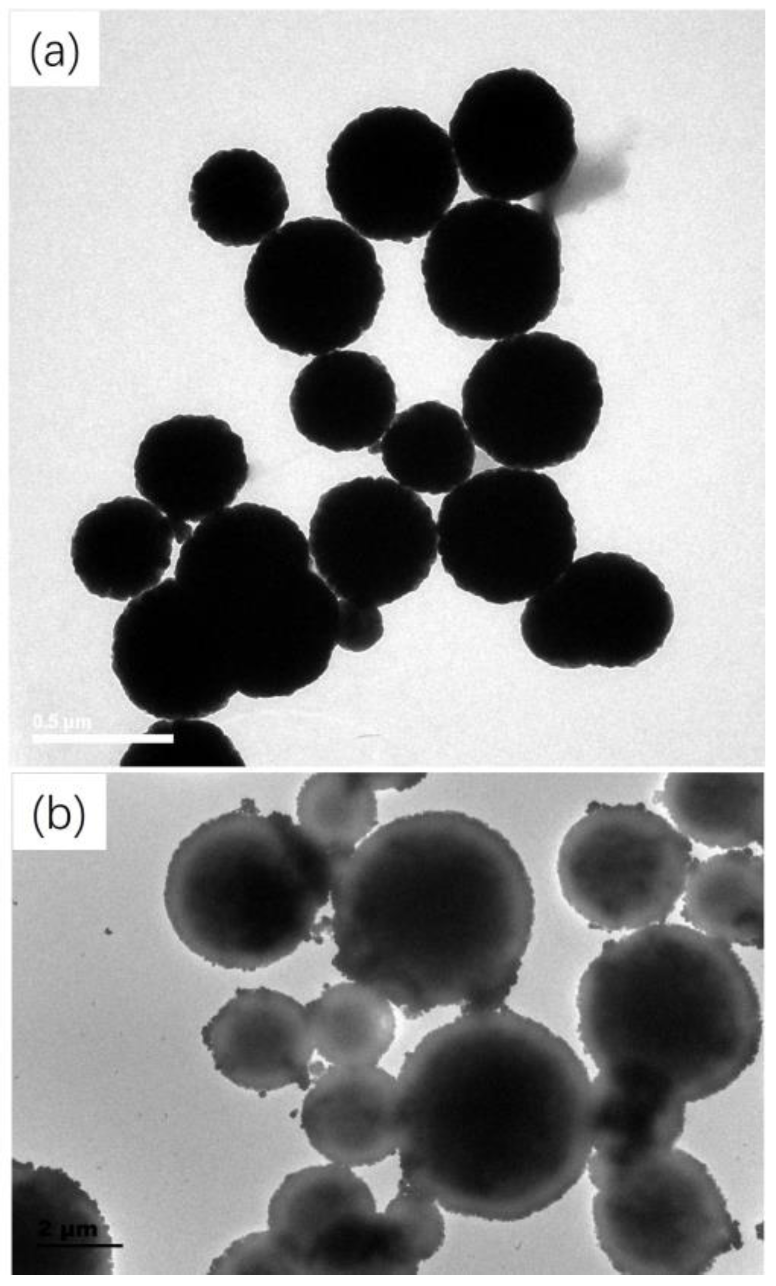 Molecules 29 03675 g003