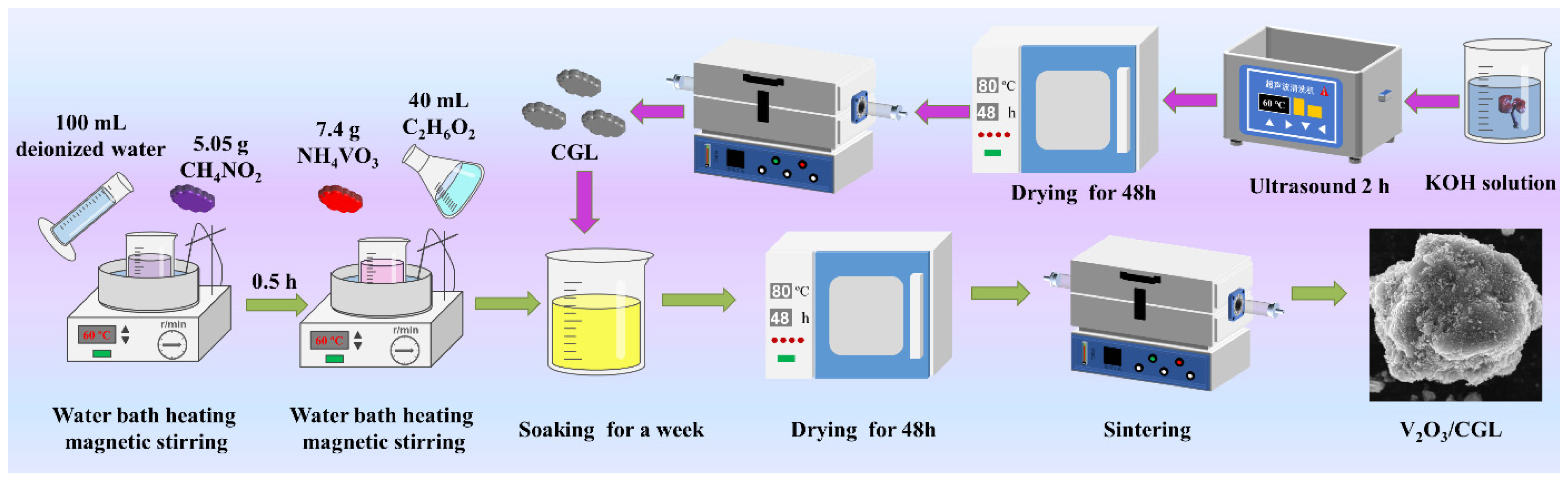 Molecules 29 03688 g010