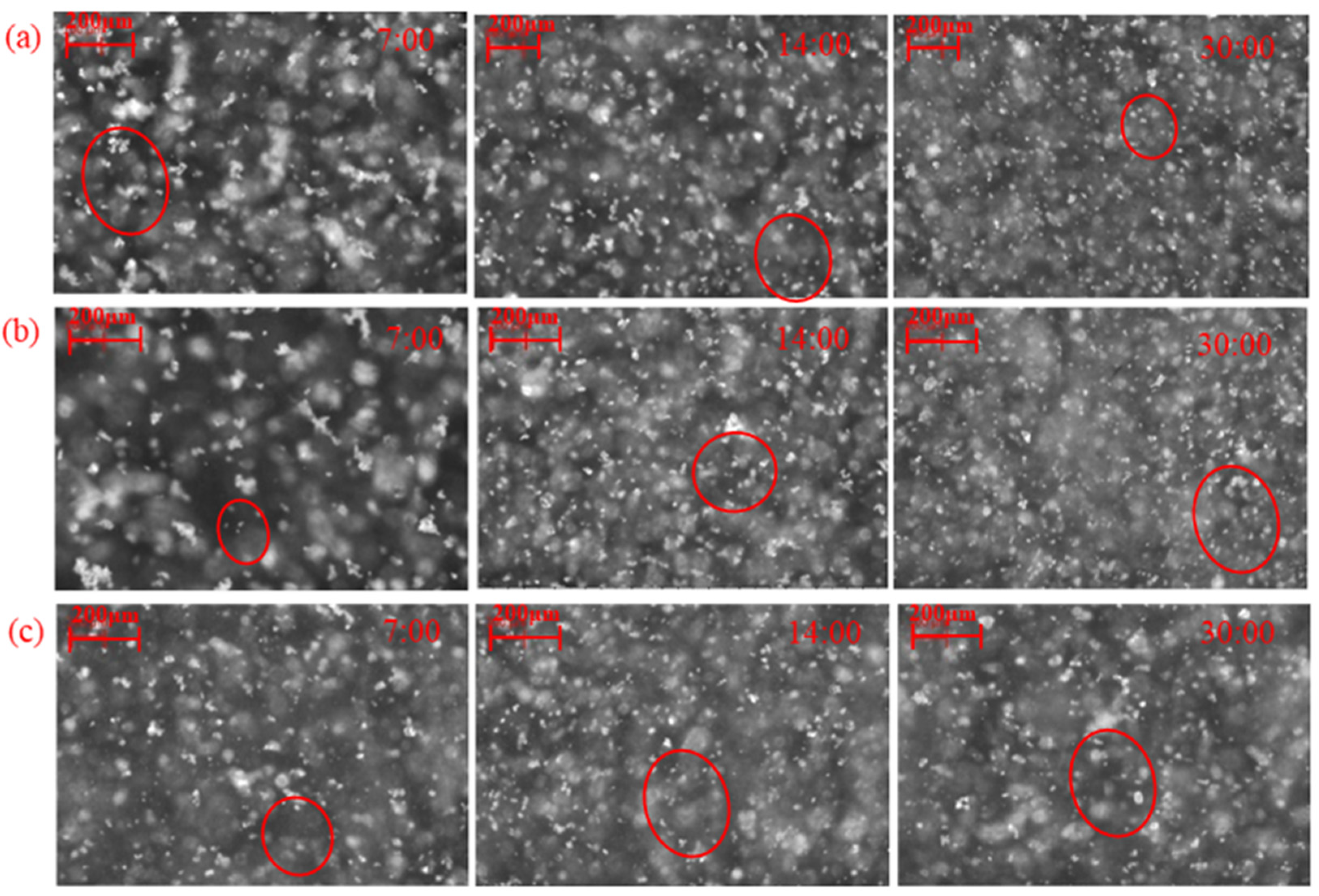 Molecules 29 03692 g007