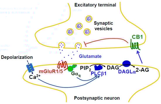 Molecules 29 03694 g001