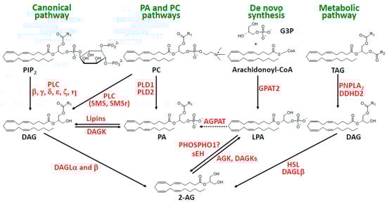 Molecules 29 03694 g002