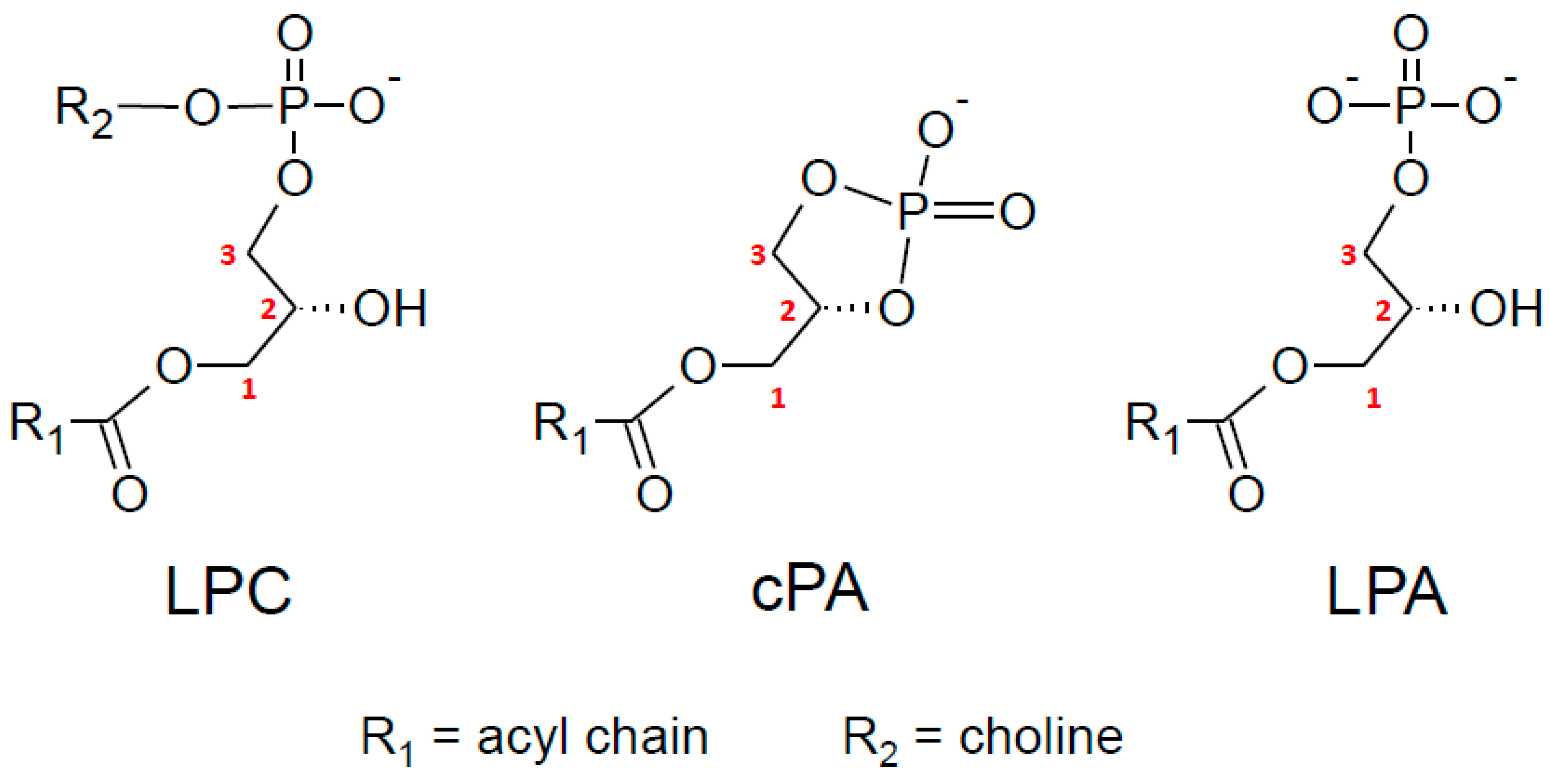 Molecules 29 03694 g006