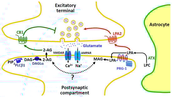 Molecules 29 03694 g009