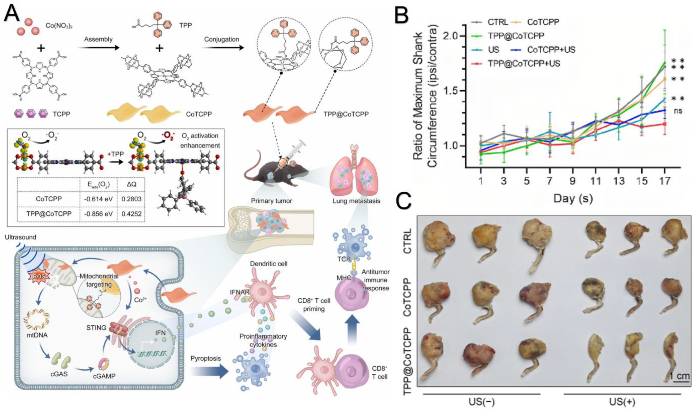 Molecules 29 03704 g003