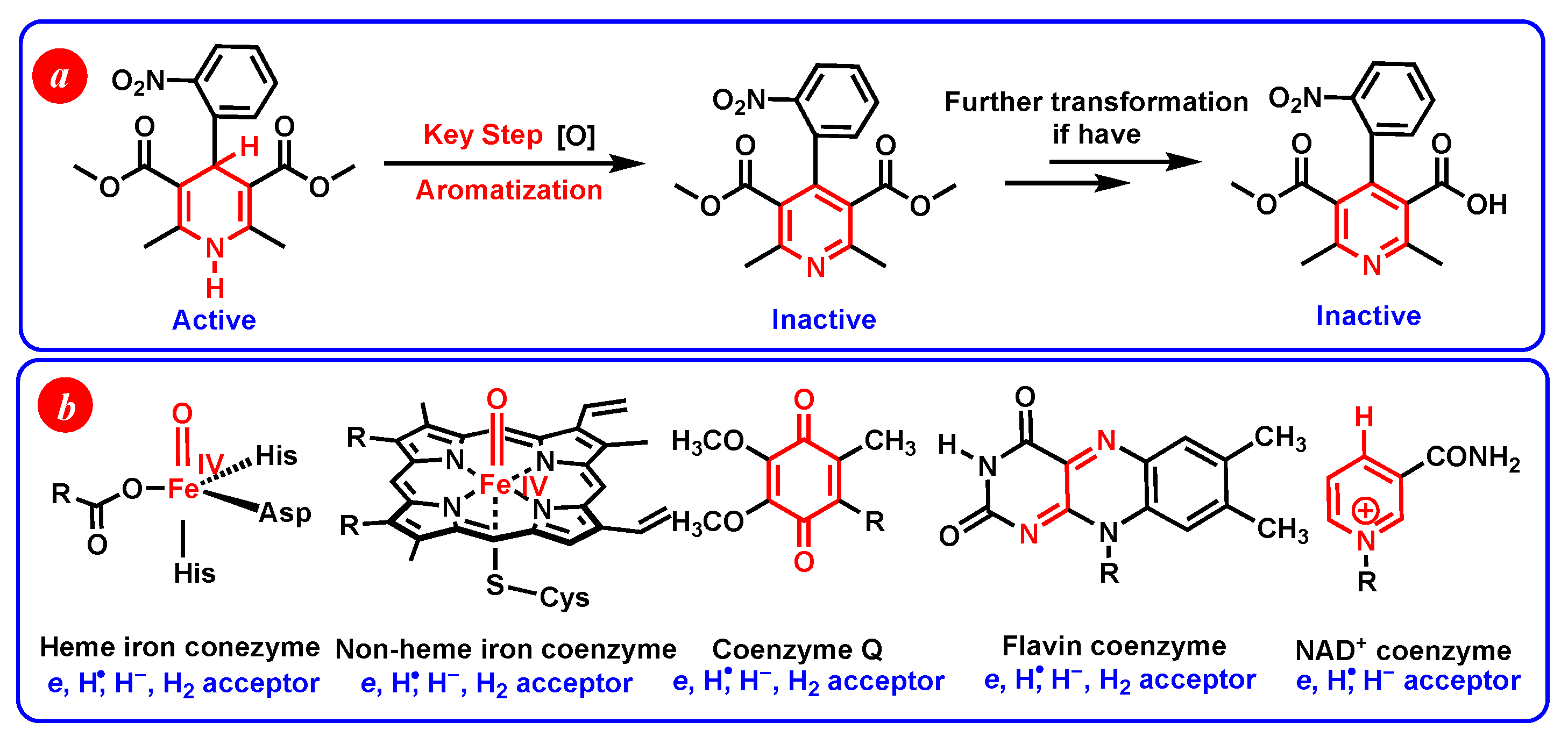 Molecules 29 03706 g002