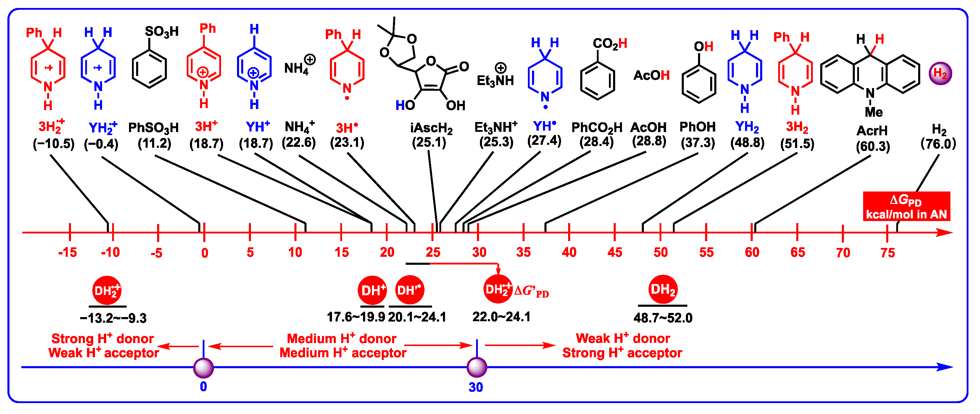 Molecules 29 03706 g008