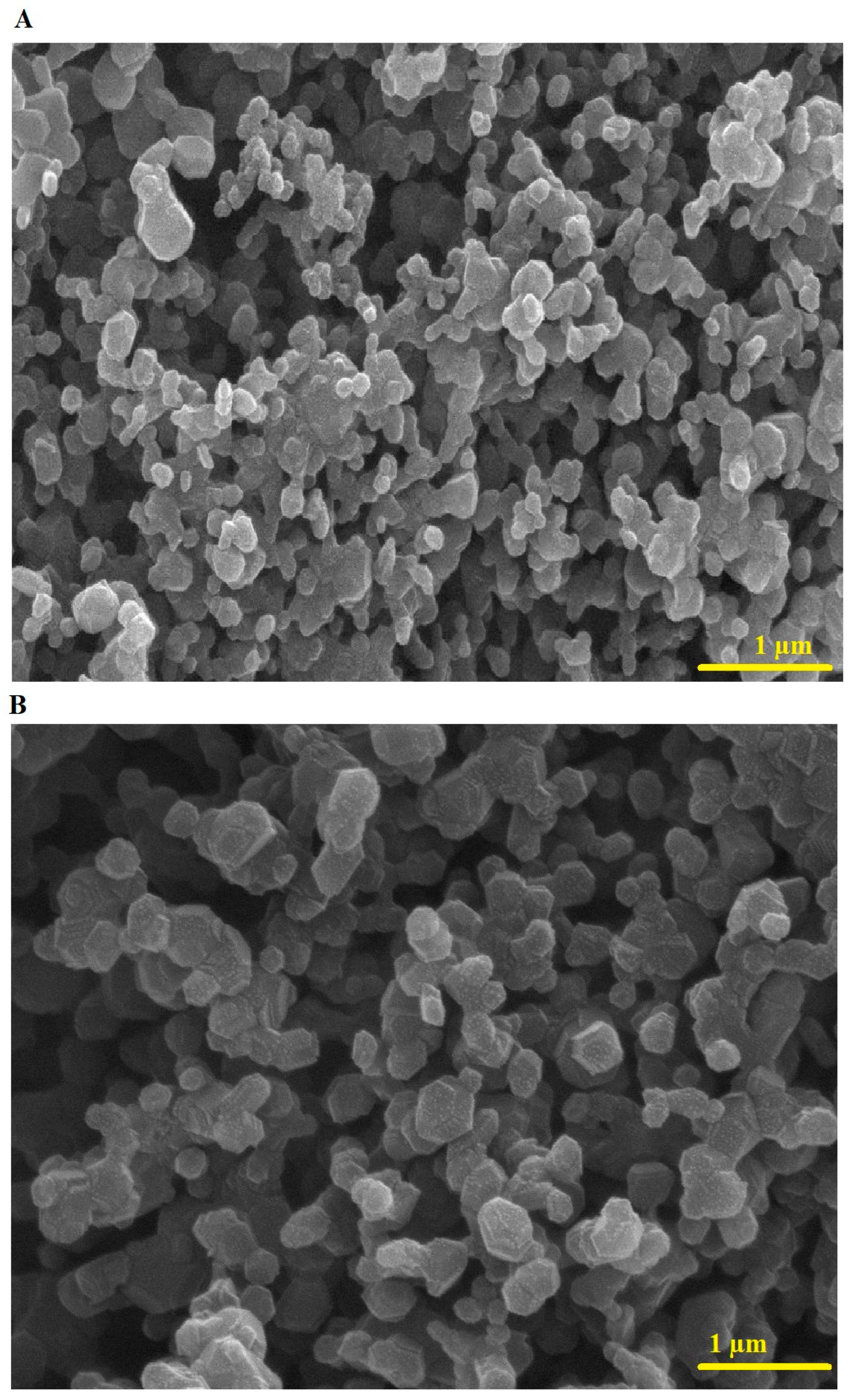 Molecules 29 03711 g004