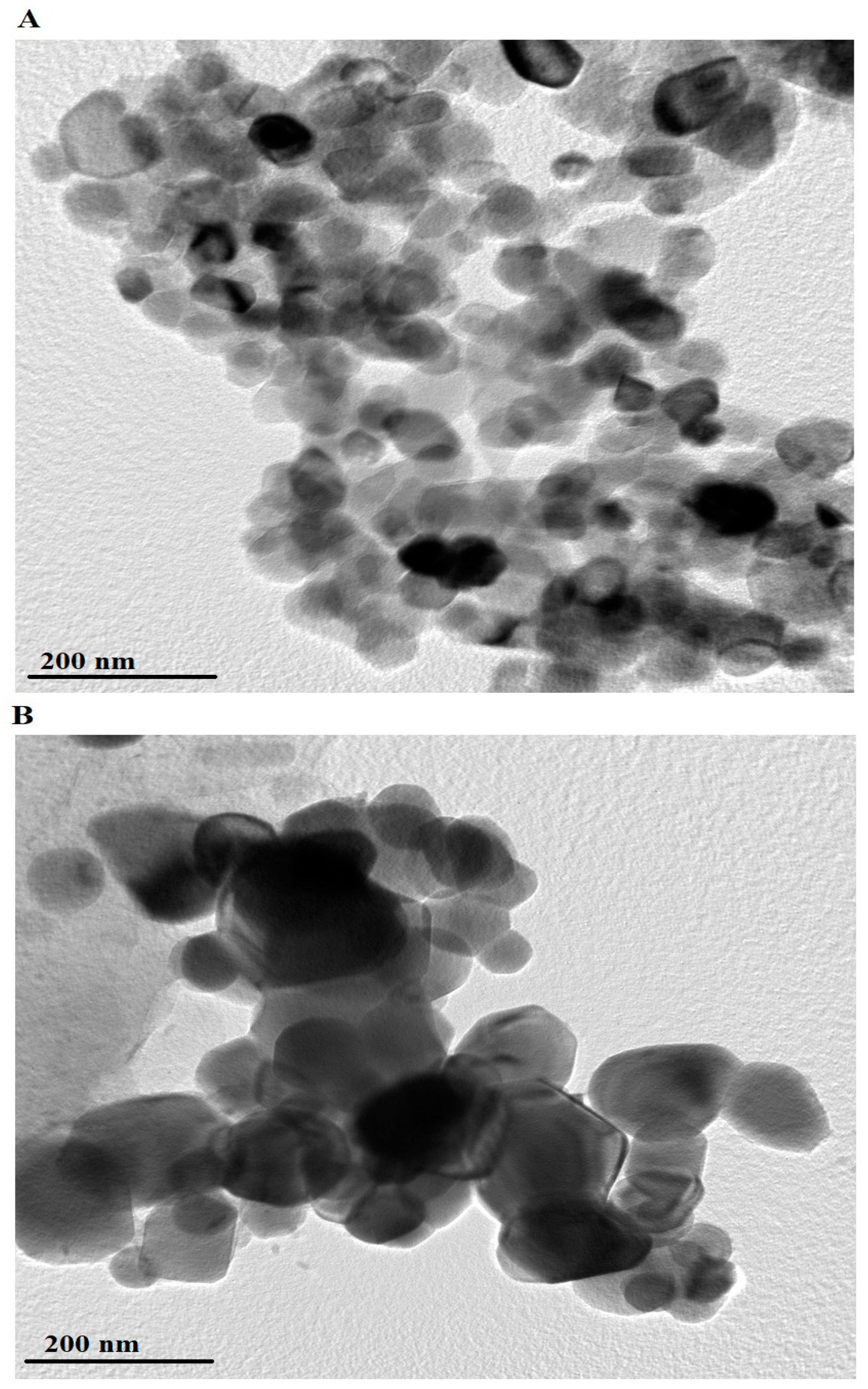 Molecules 29 03711 g006