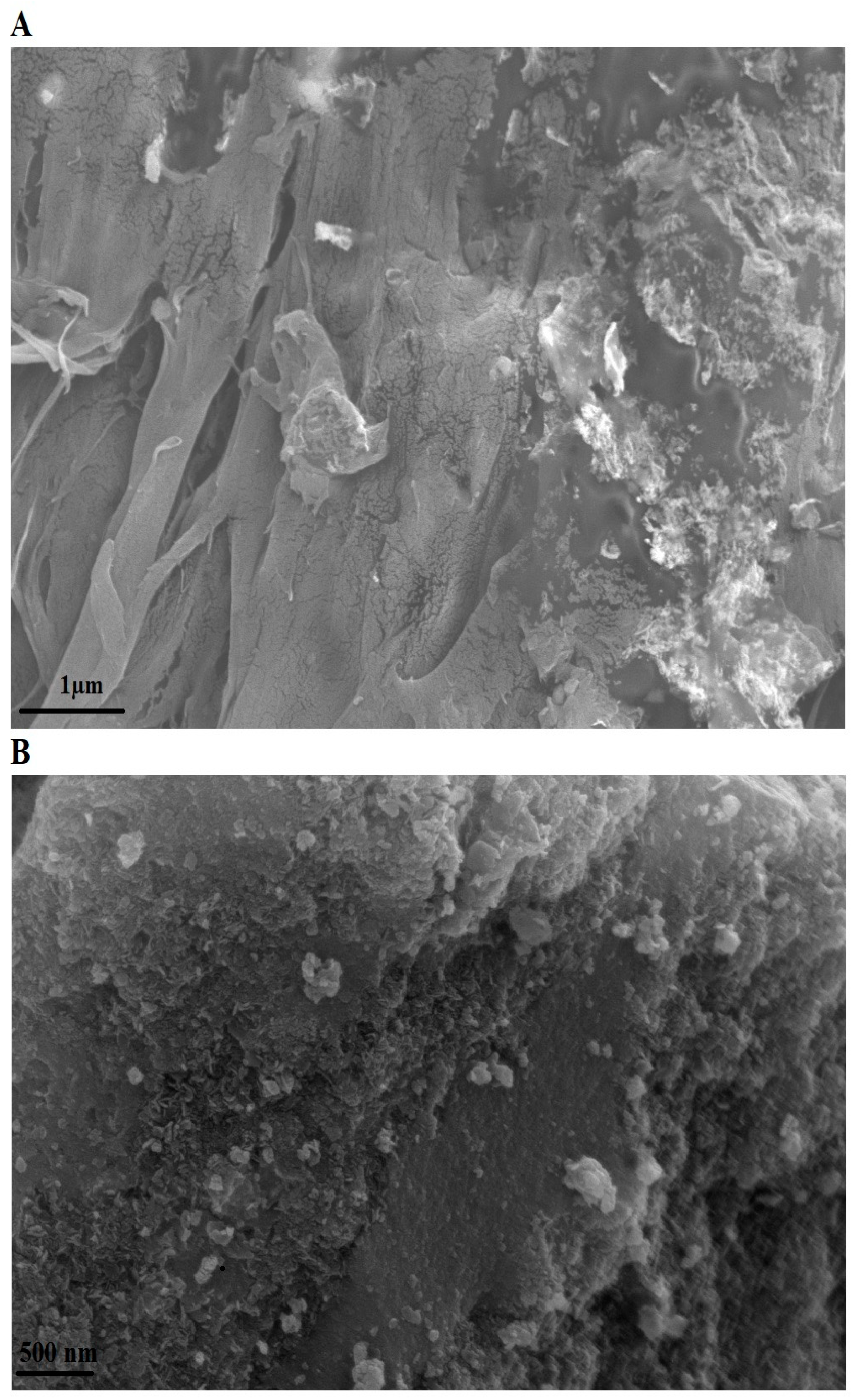 Molecules 29 03711 g008