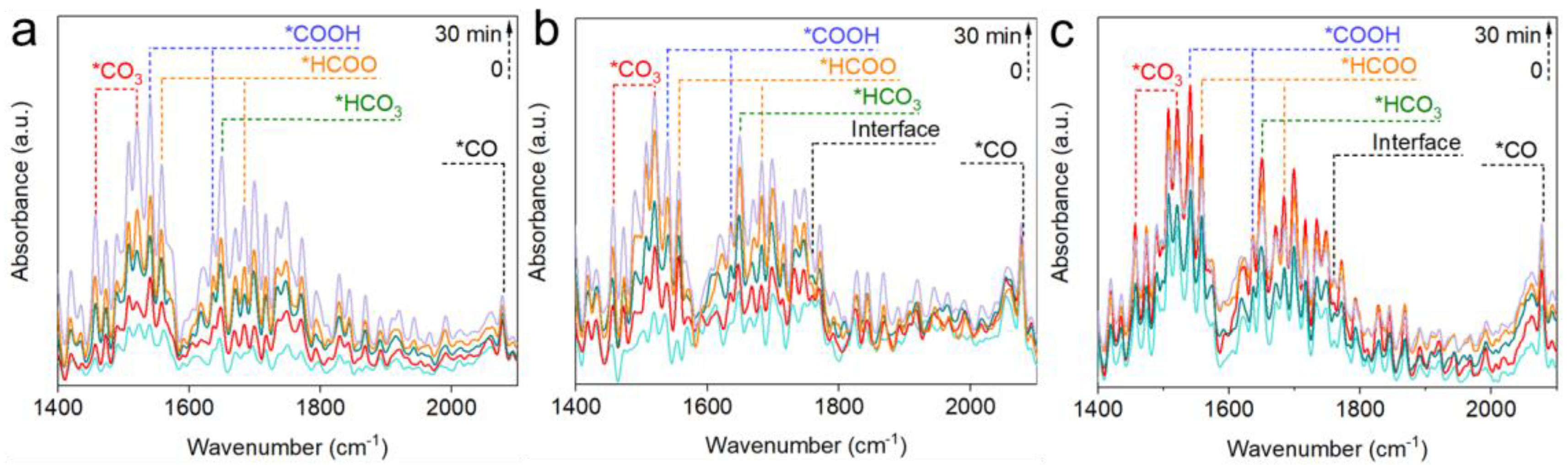 Molecules 29 03715 g004