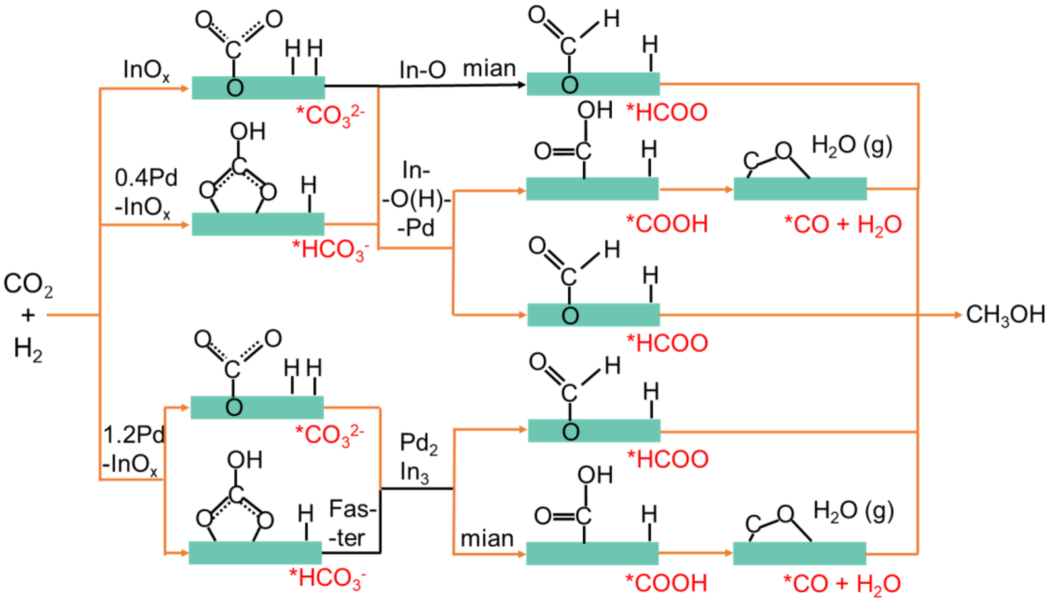 Molecules 29 03715 g006