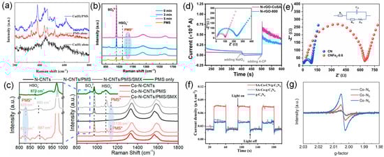Molecules 29 03719 g004